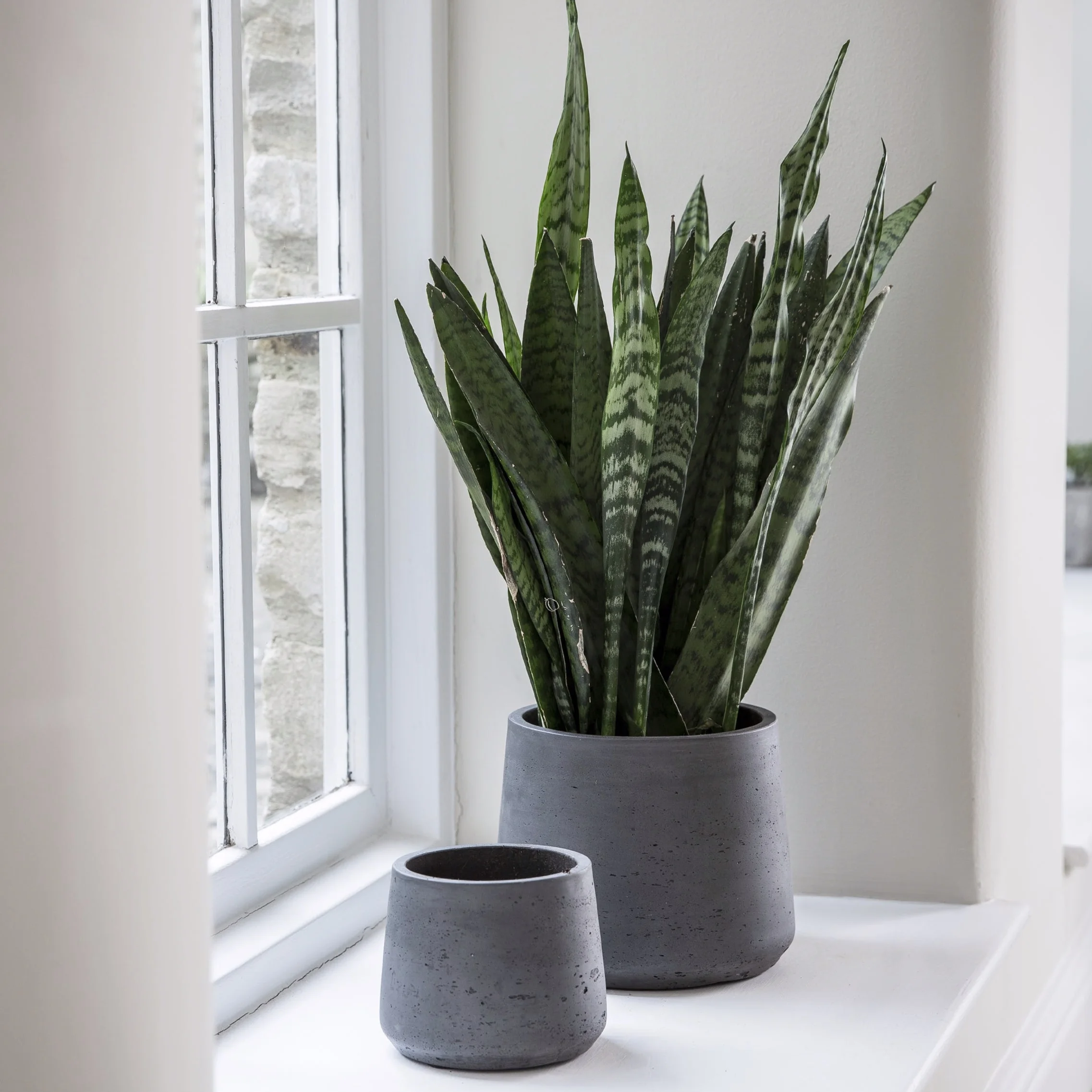 Set+of+2+Stratton+Tapered+Plant+Pots.jpg