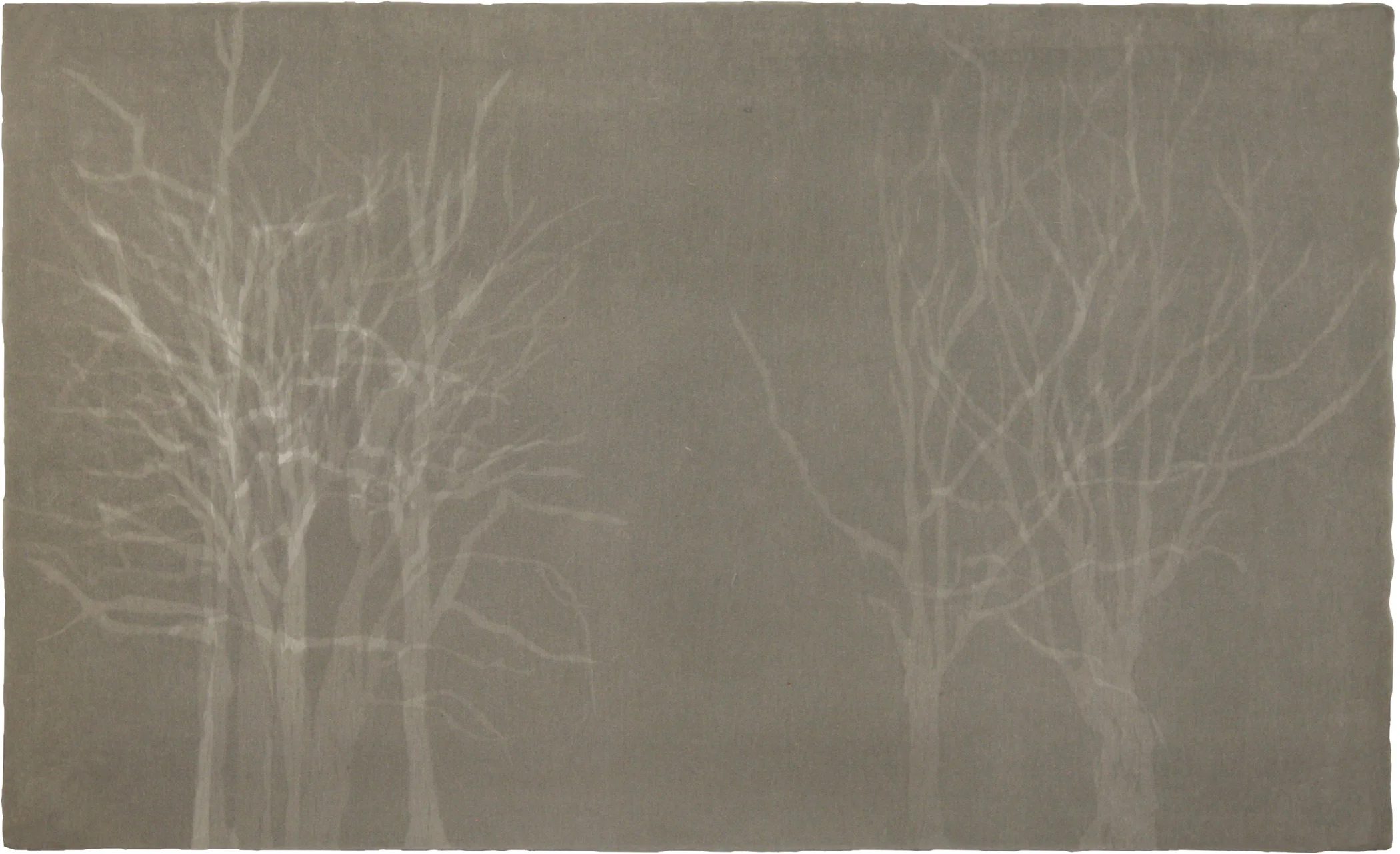 Gray IV