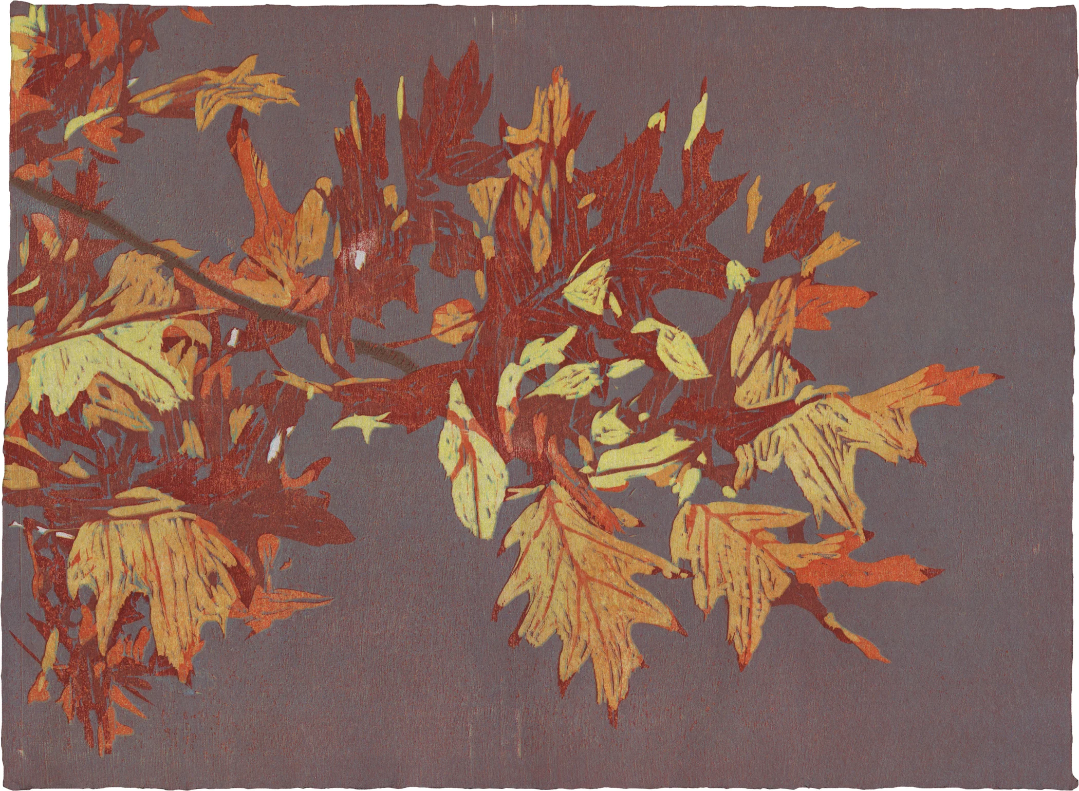 Fall Foliage