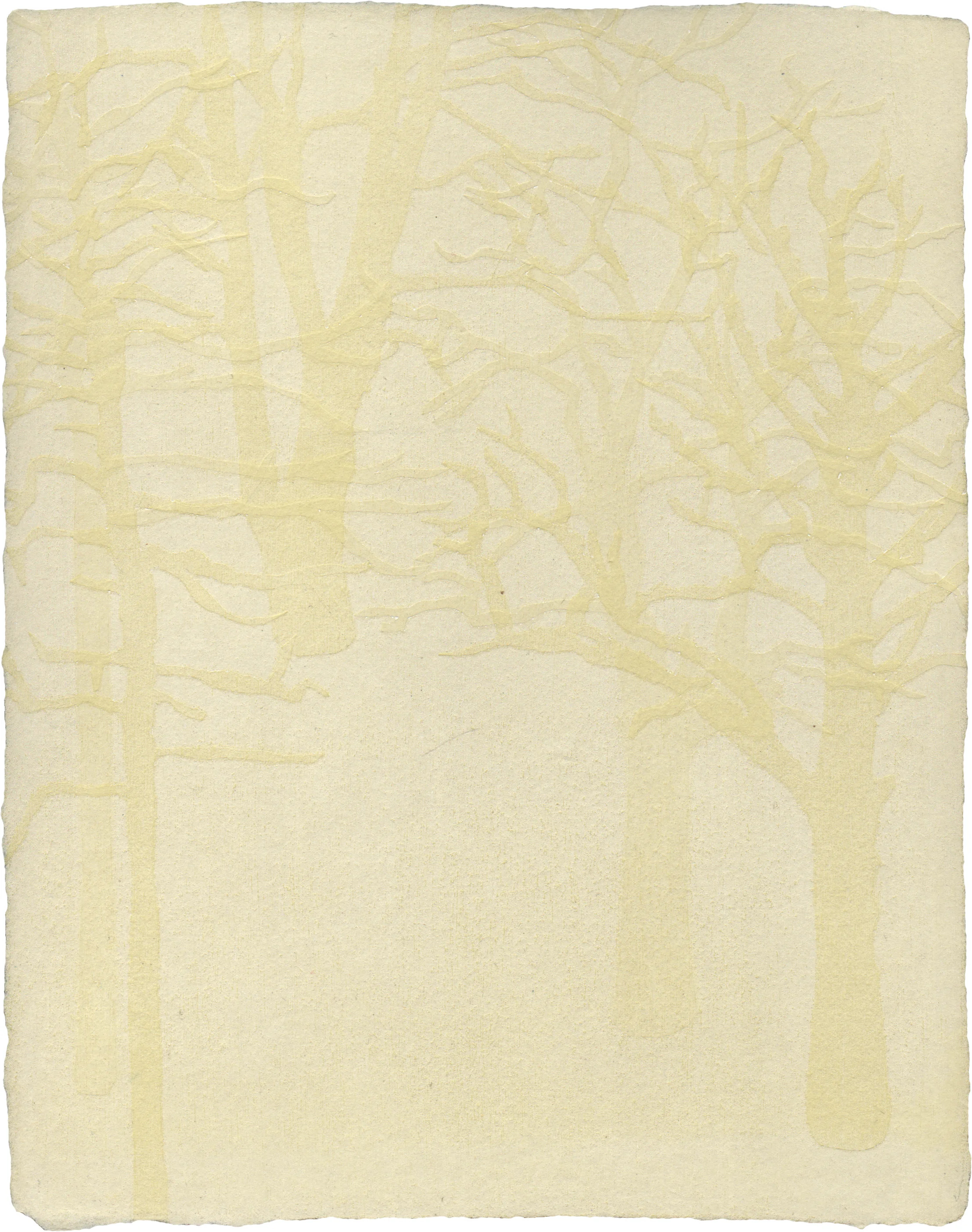 Studies in White (enter)