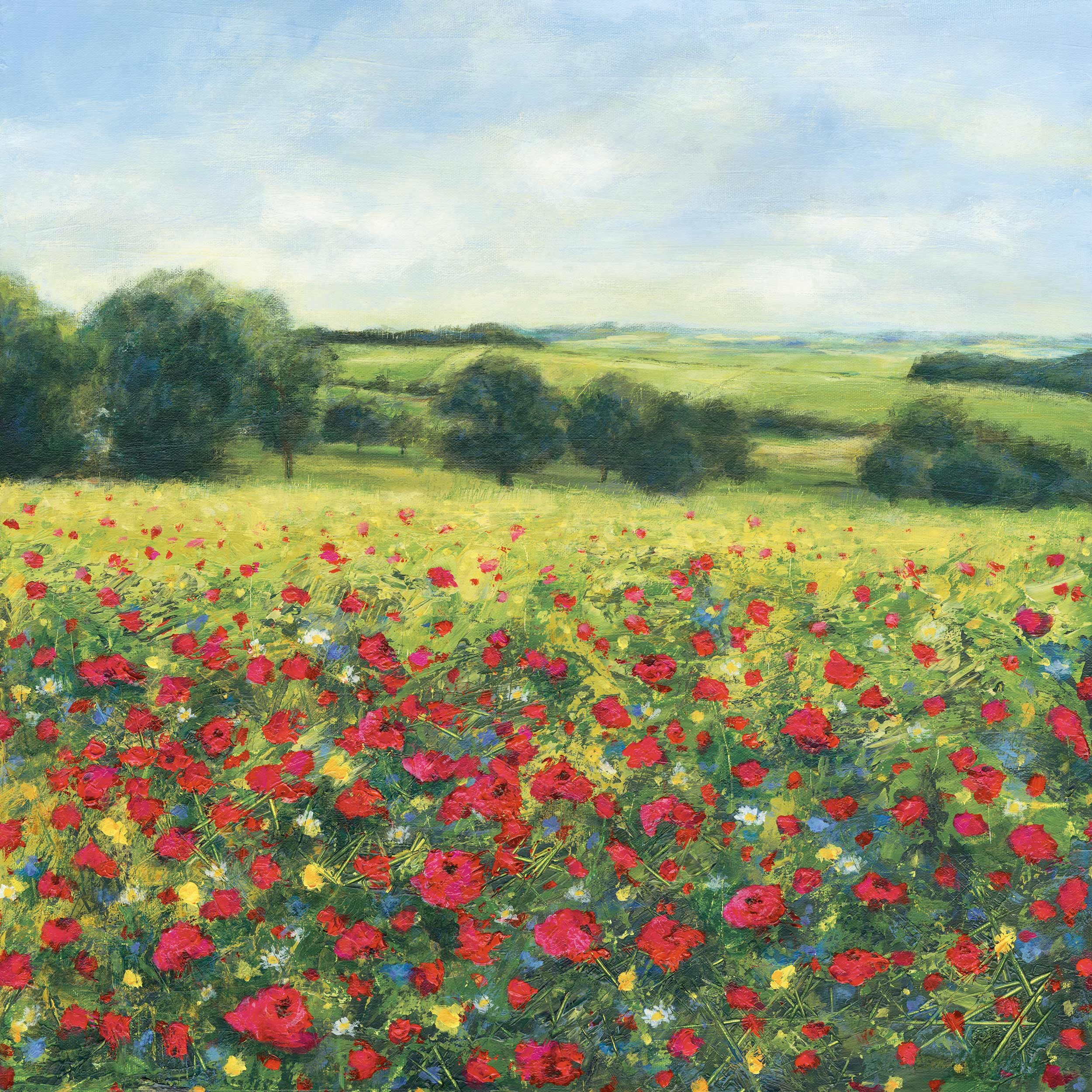 Poppies-Web-Opt-RGB-LindaVineArt.jpg