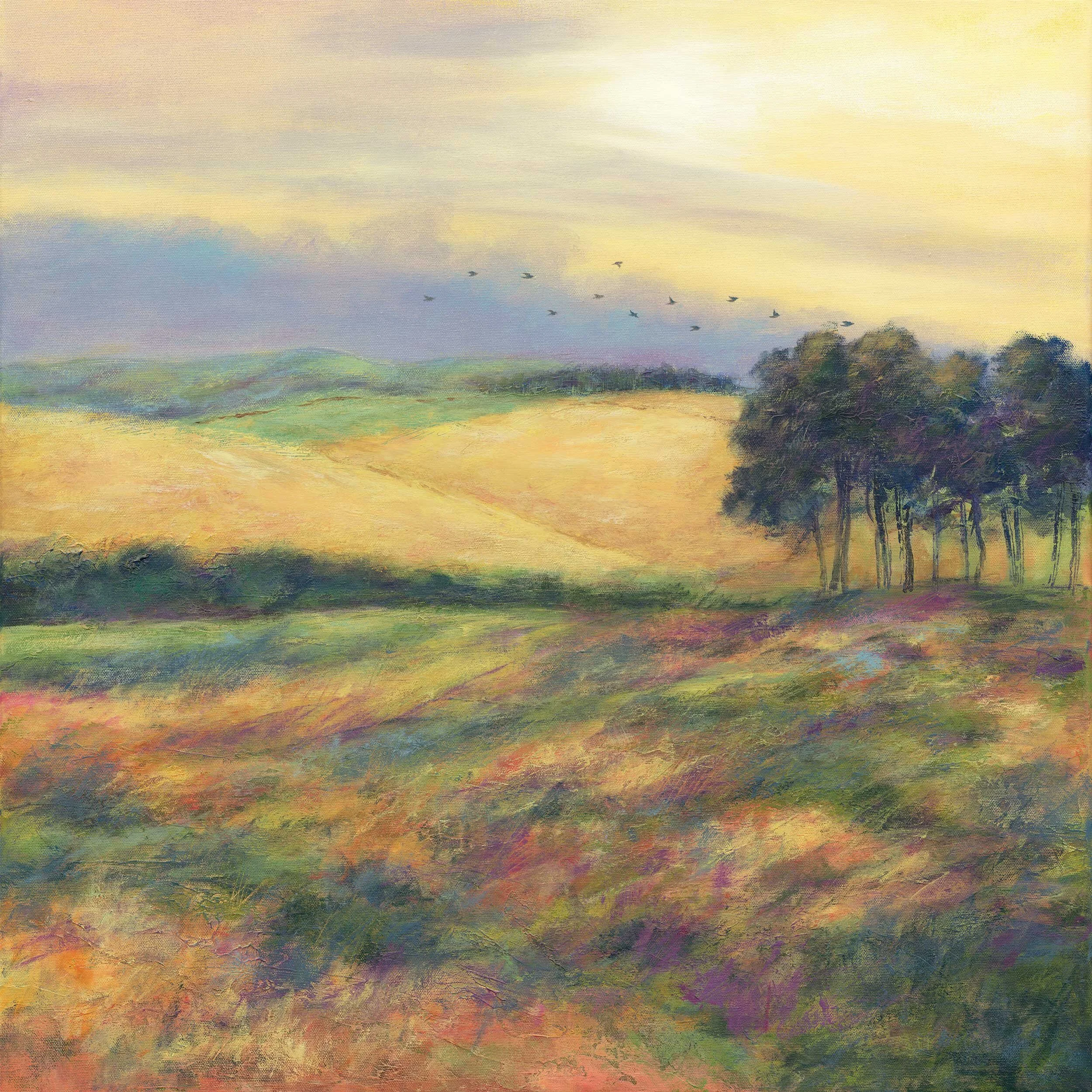 Hills and trees - Open Edition