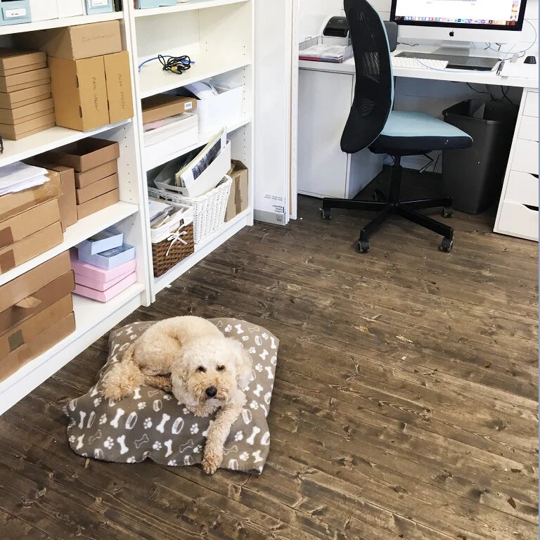 cabin-shelving&shiloh.jpg