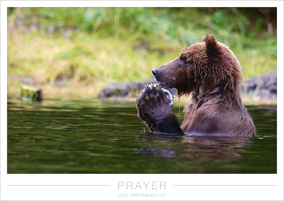 blog_20120915_alaska_08.jpg