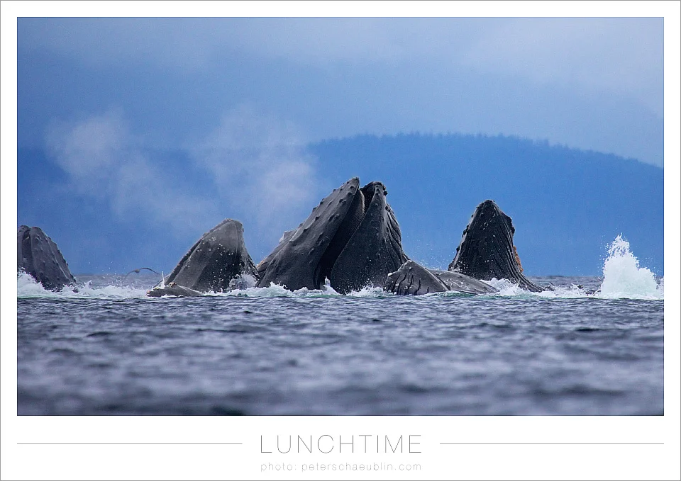 blog_20120915_alaska_16.jpg