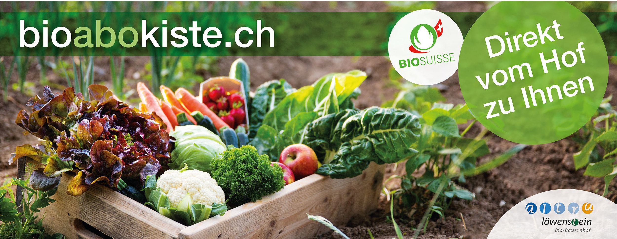 Fertig gelayoutete Bustafel. Bild mit Canon EOS 5D MkIII, 2.8/24–70mm II, 1/160 sec, f/2.8, 100 ISO, zwei Profoto B1 Mehr Bilder aus diesem Shooting im Blogartikel vom 23. Juni