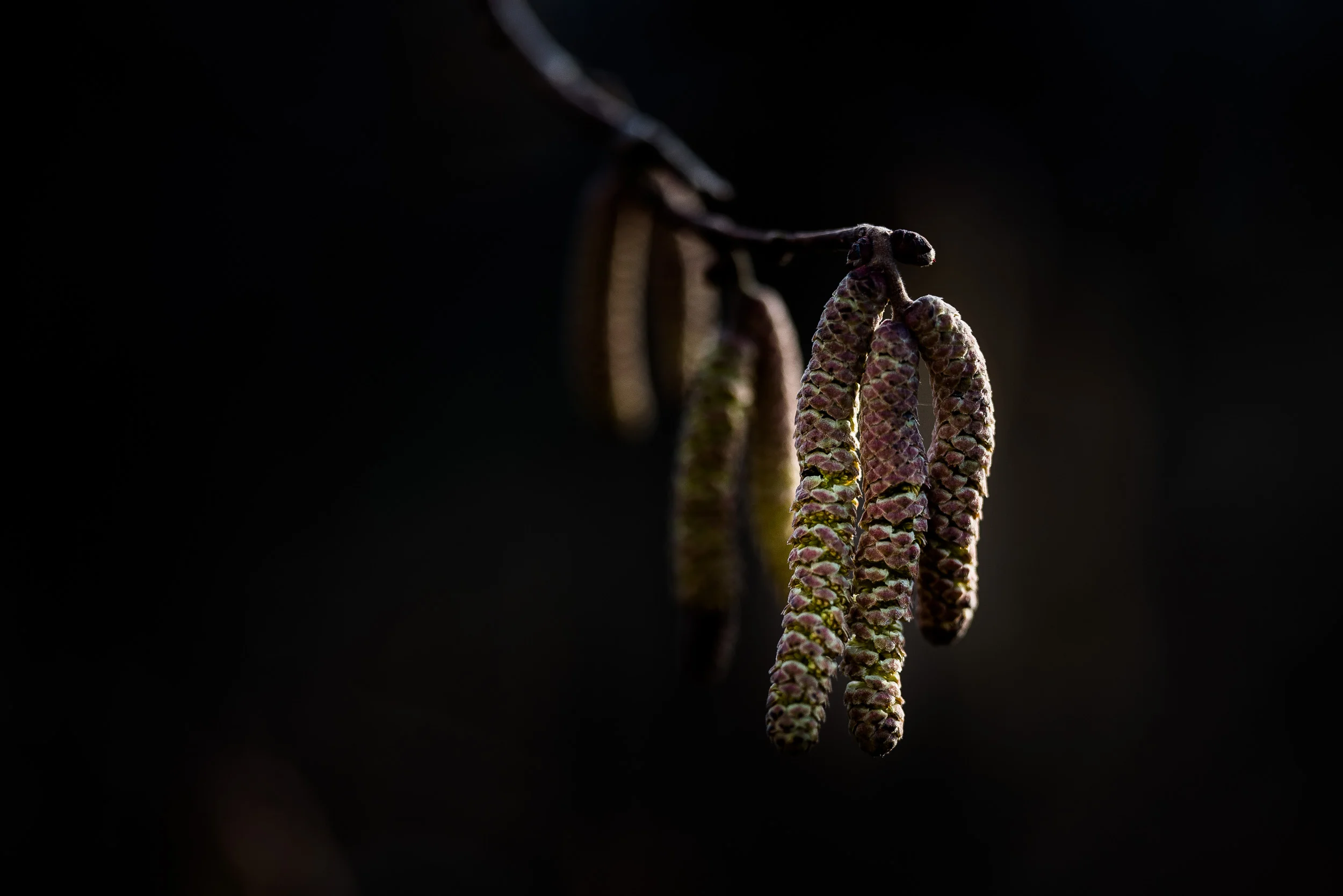 Leica SL mit APO-Summicron-SL 2/90 mm / 1/640 sec / f 2.2 / 100 ISO