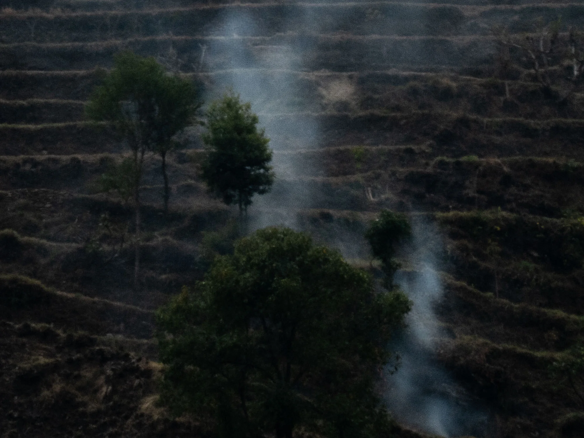 _1013080-ausschnitt.jpg