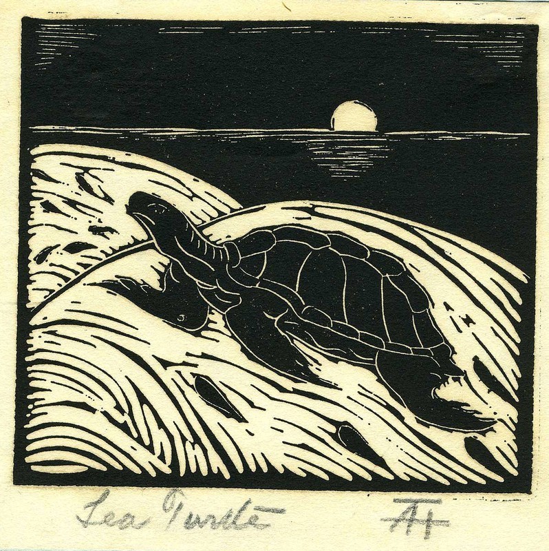 Sea turtle.jpg