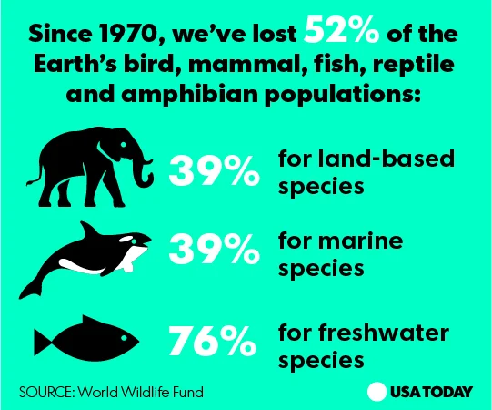 Mammals.jpg