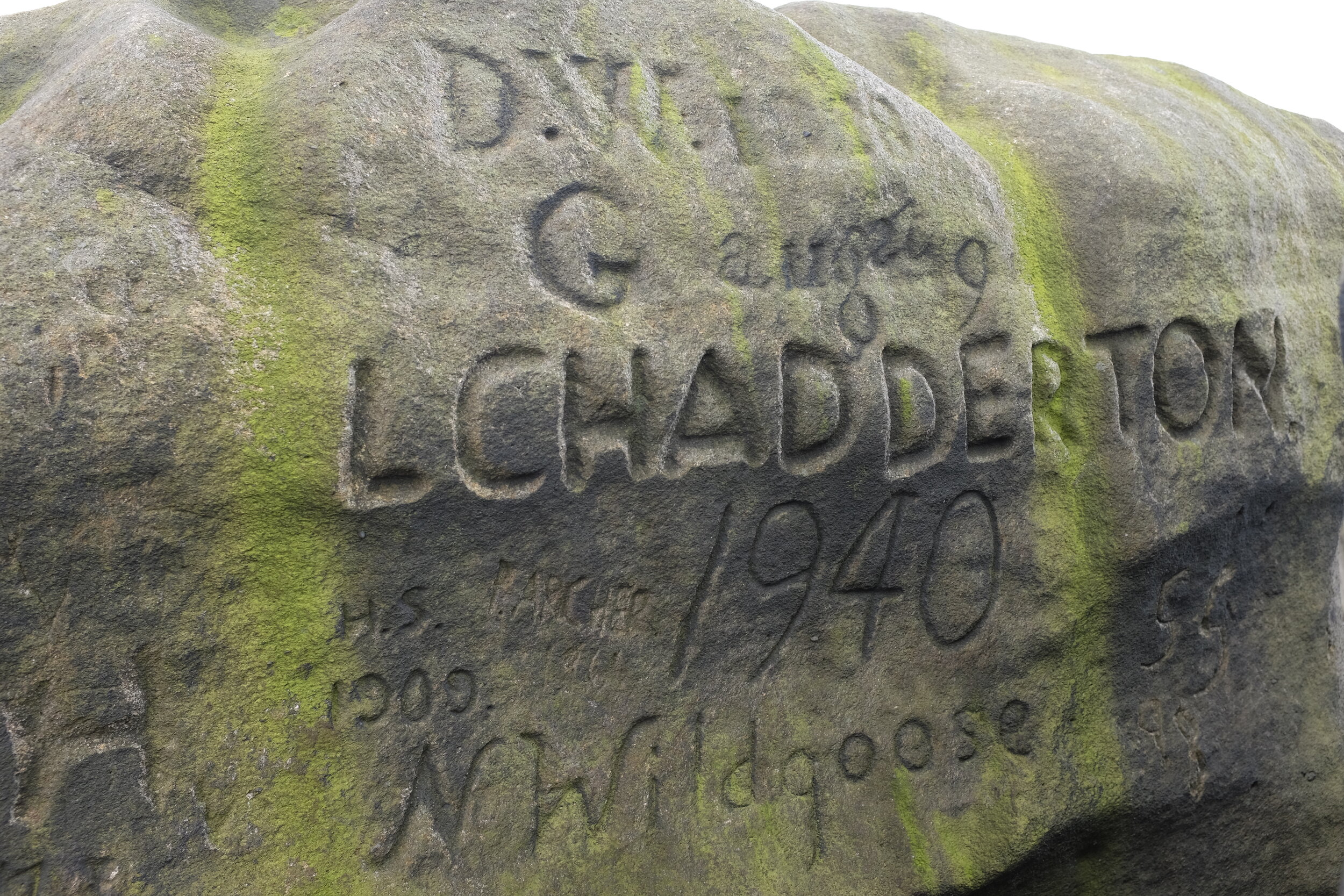 DSCF4366.JPG