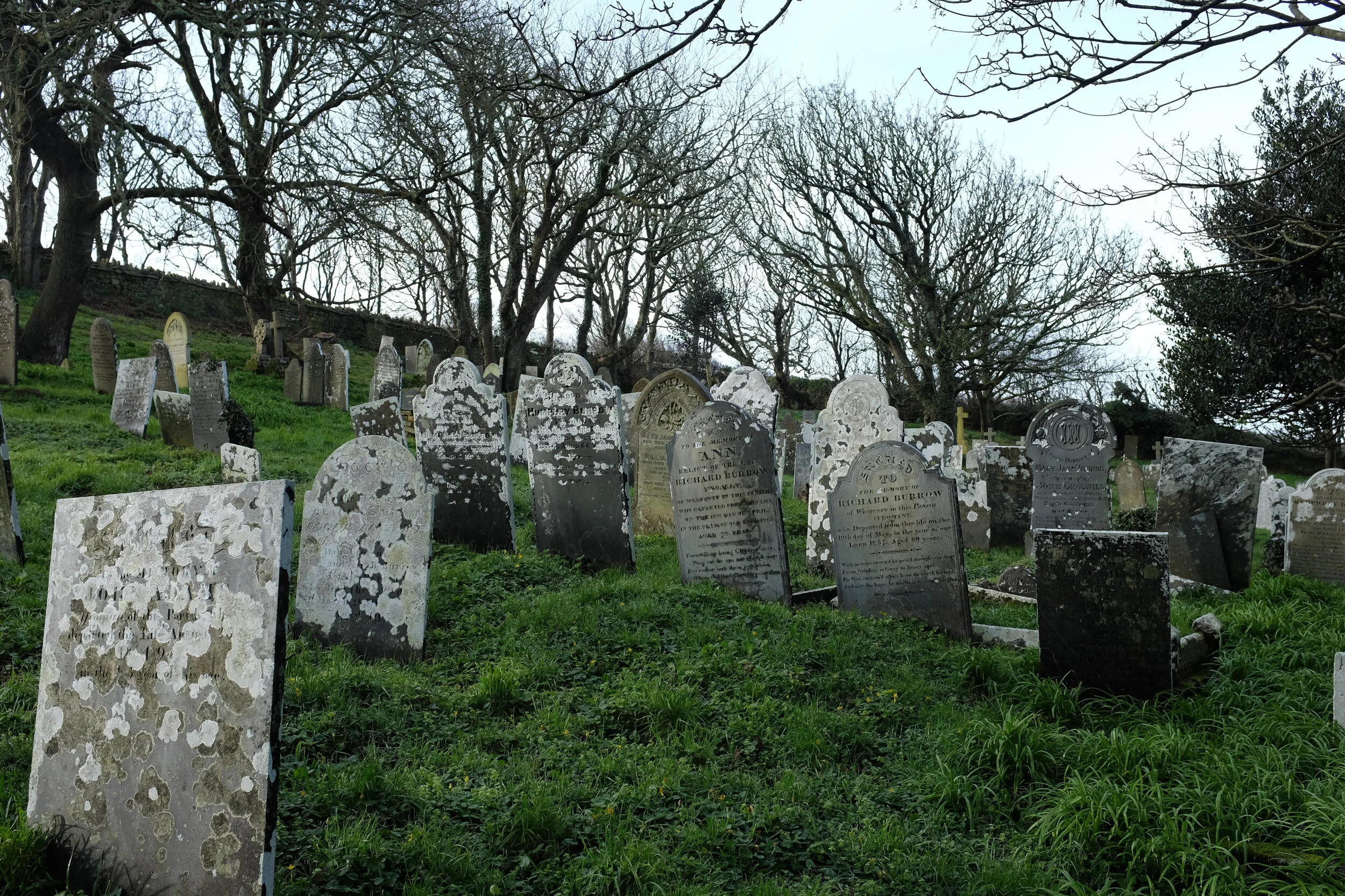 DSCF4272.JPG