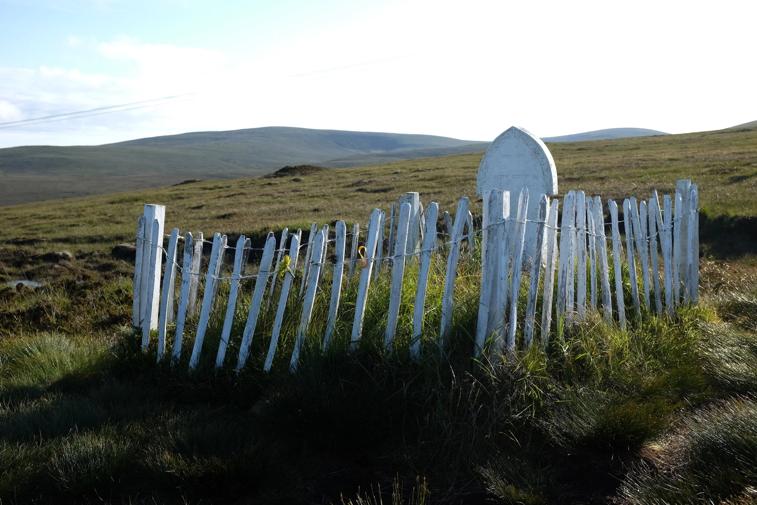 DSCF4711.JPG
