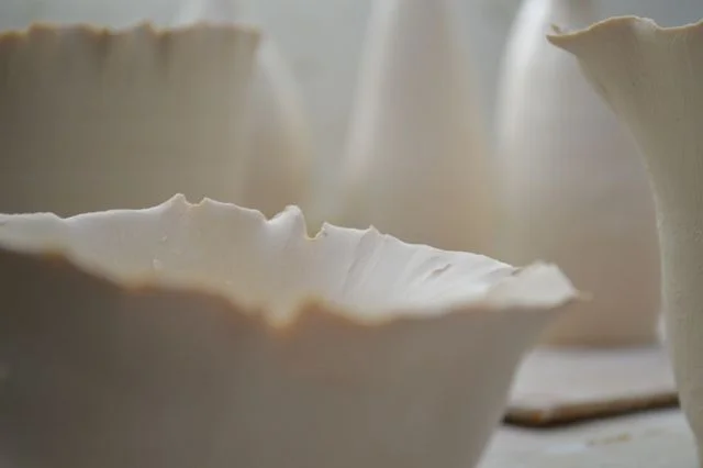 porcelain2
