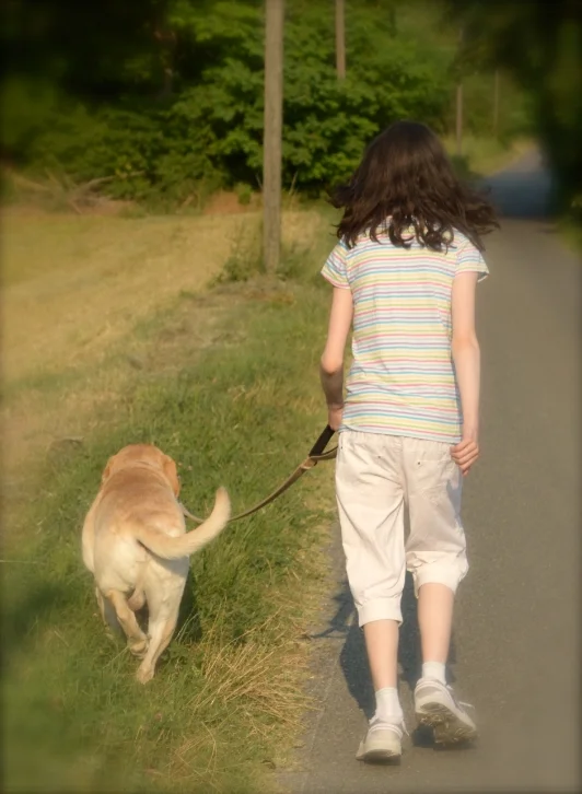 A guest during our last season, sweet Amy from Ireland, walking Max on our road. 