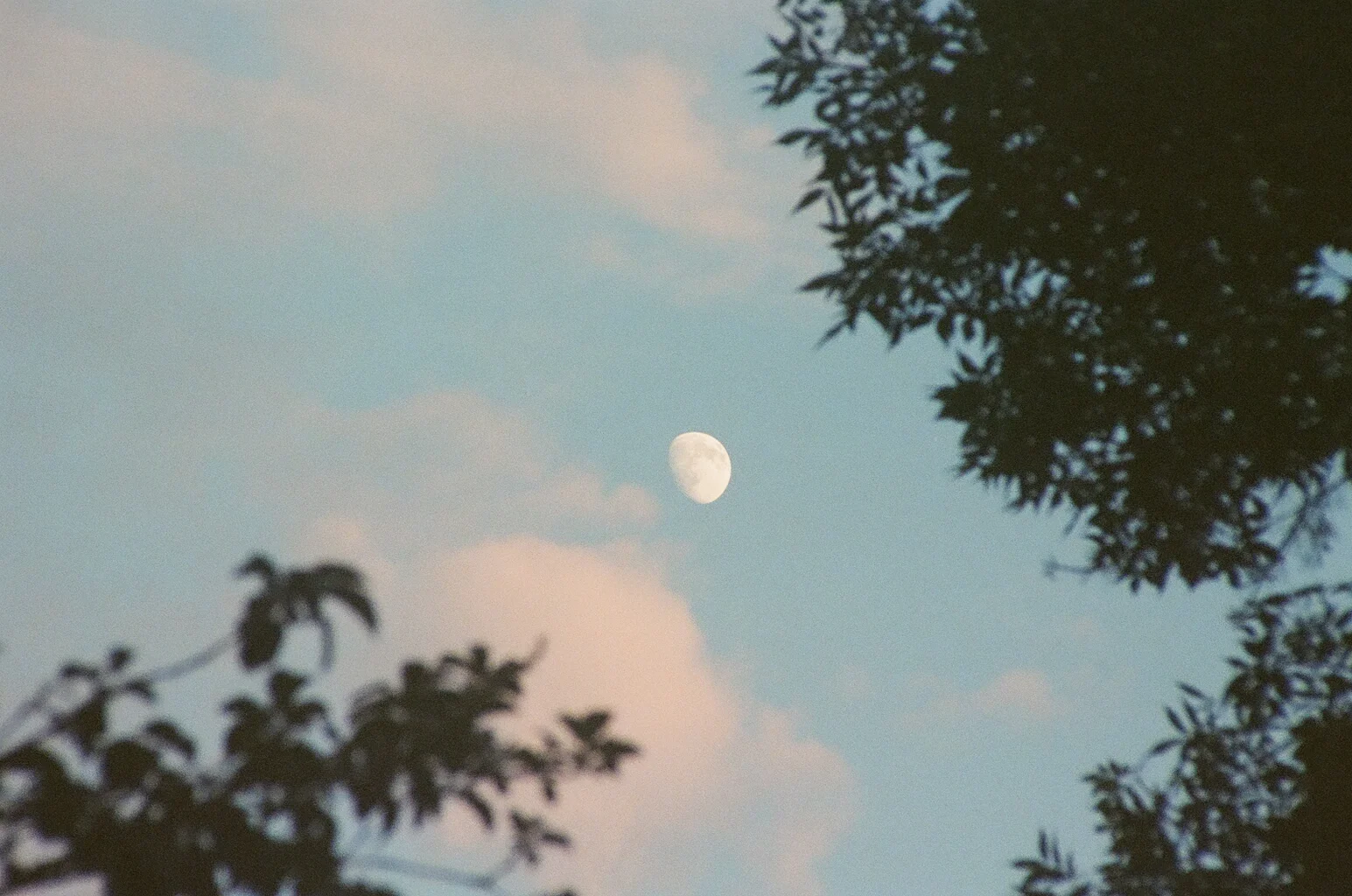 80080011.jpg