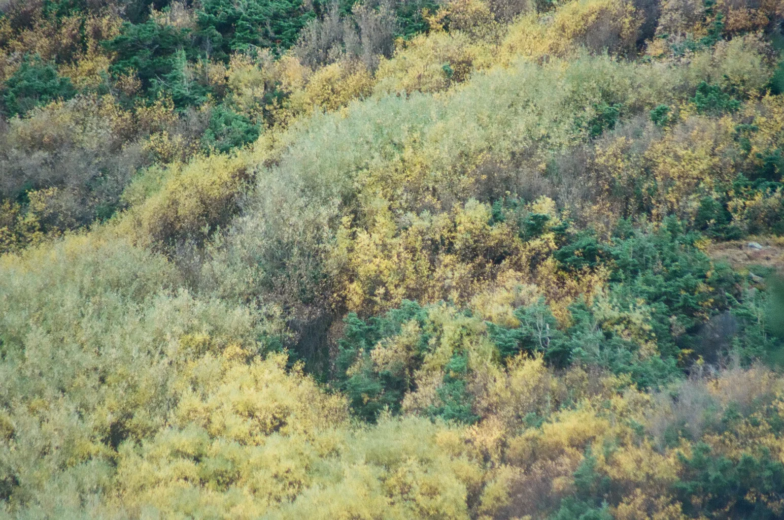 78310028.jpg