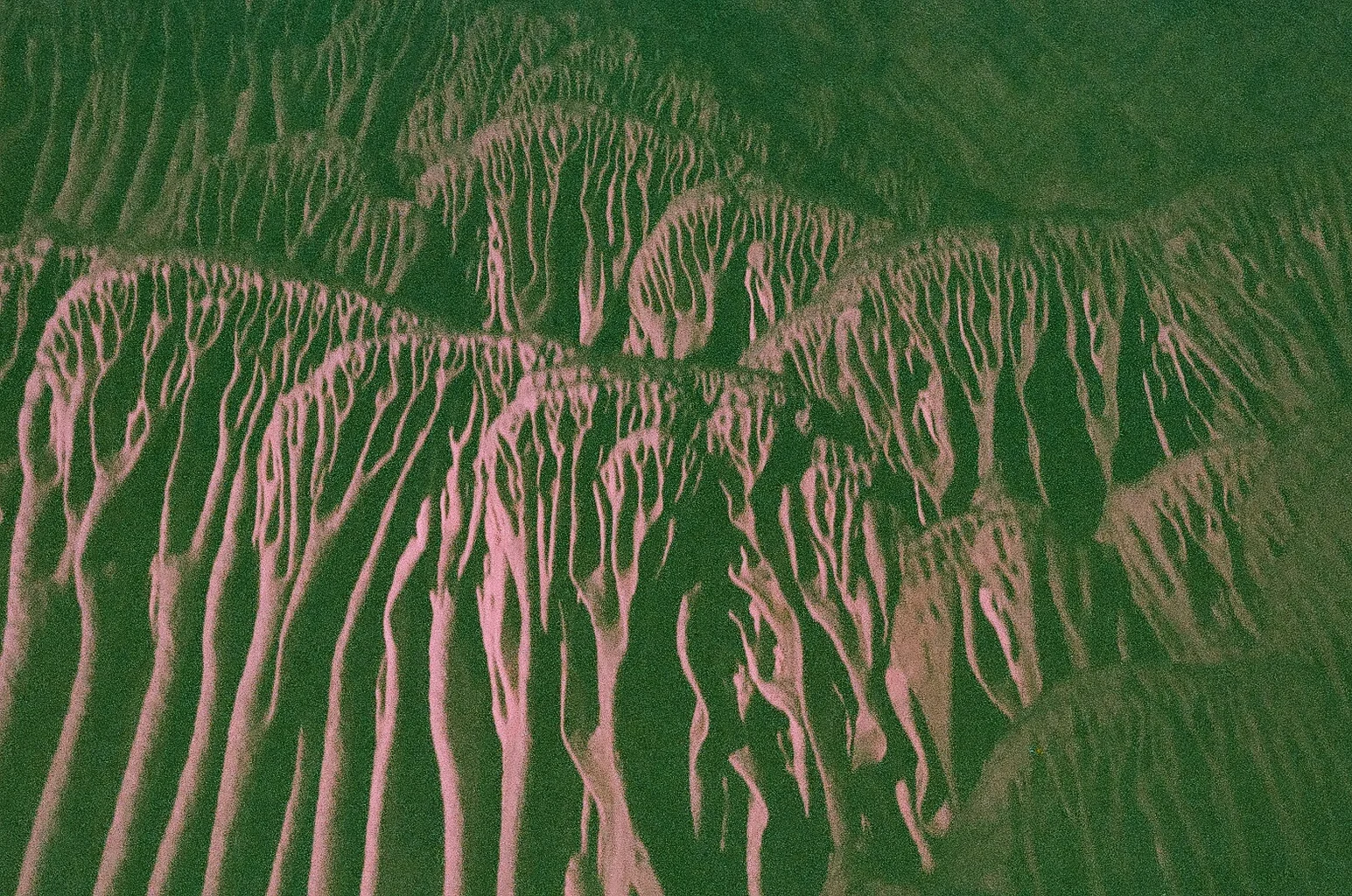 000482600029.jpg