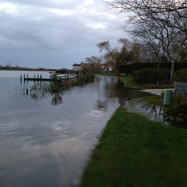 flood_lawn_sq.jpg