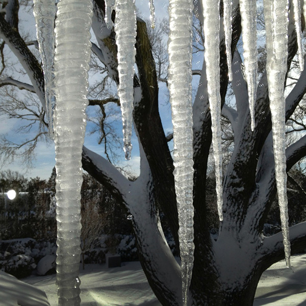 Winter’s icy fingers have a nasty grip.
