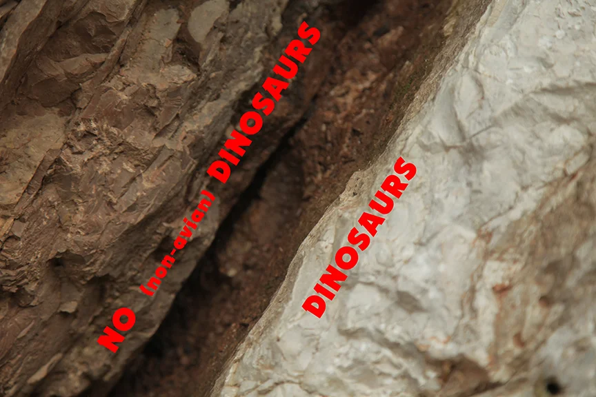 K-T boundary (folks have scooped out most of the clay) between dinosaur times (Cretaceous) and, well, after. 