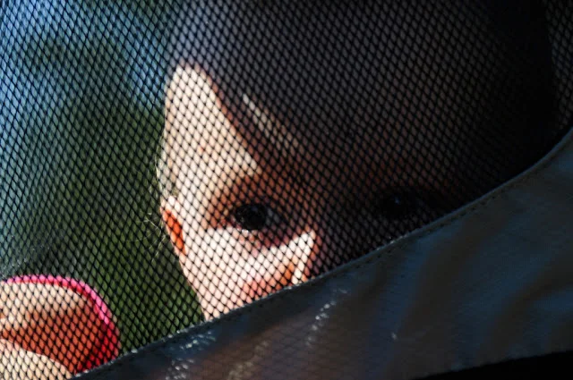 littlelife voyager s2