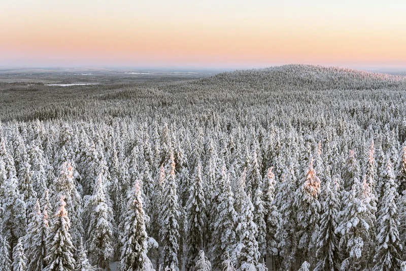 From the top of Ounasvaara
