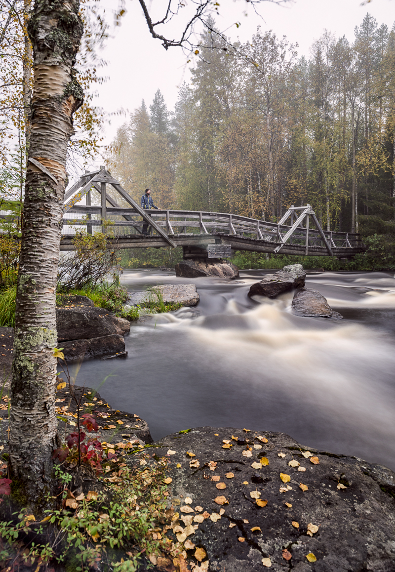 Vikäköngäs