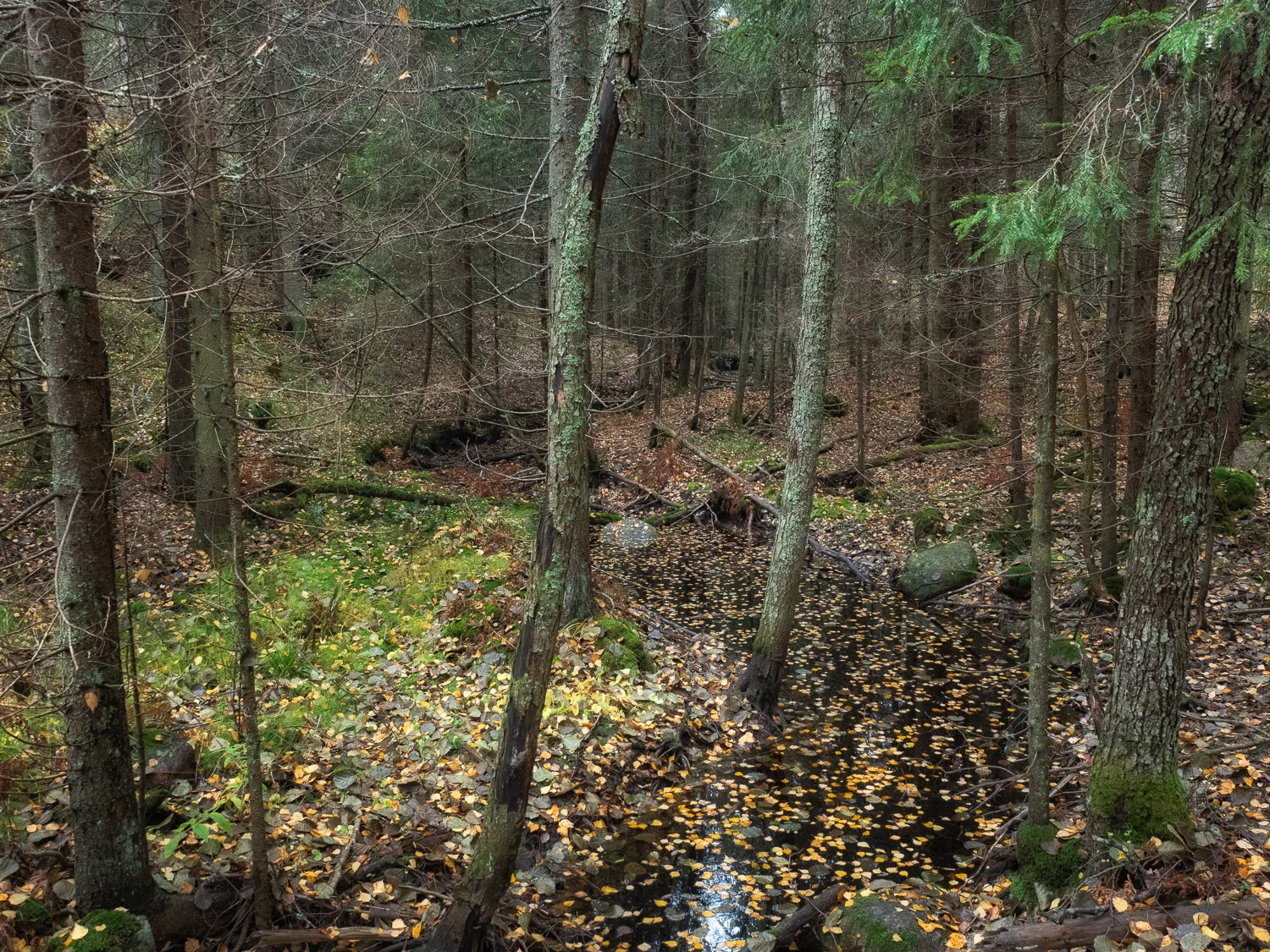 20181016-bpn-30.jpg