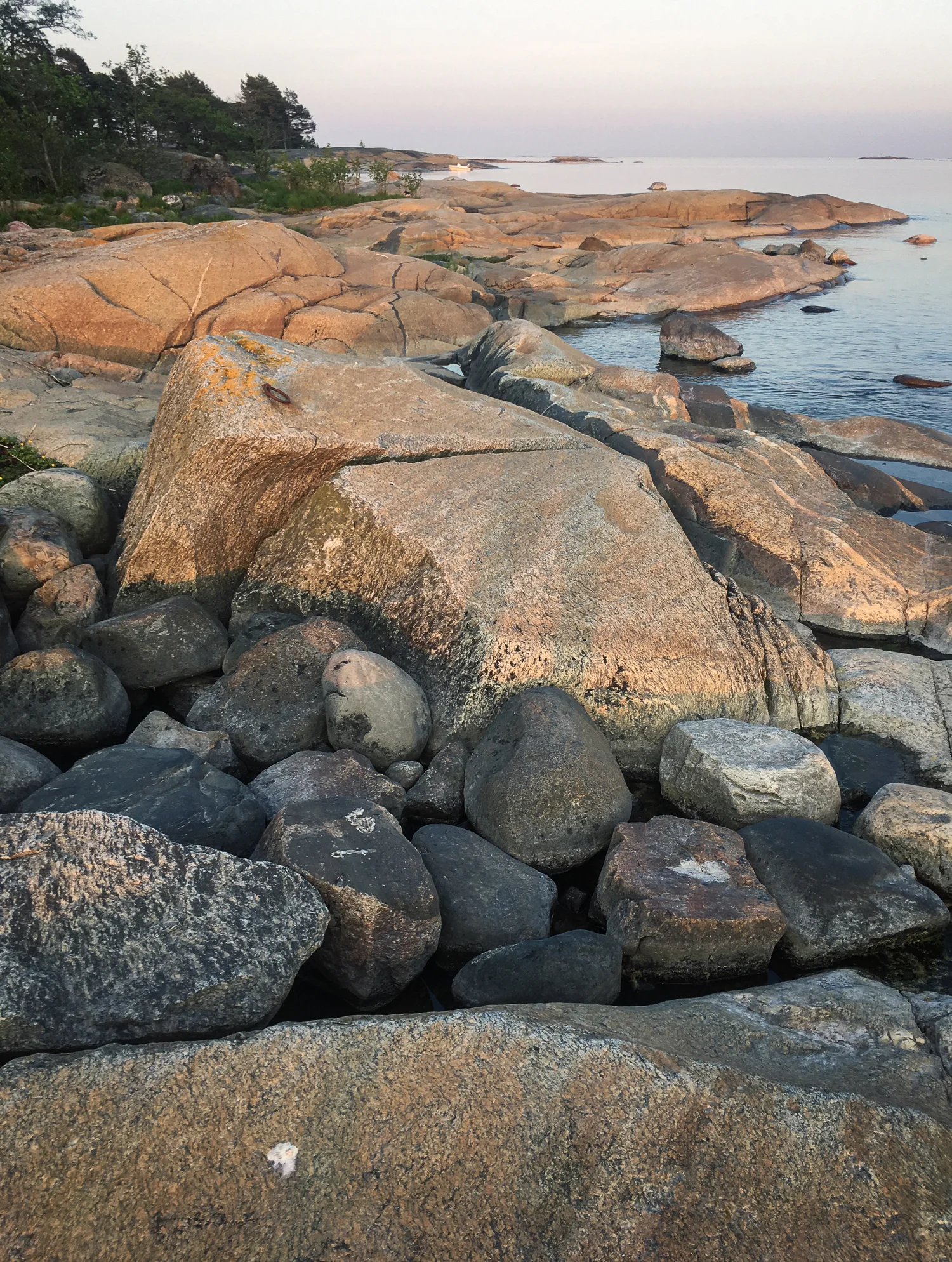 20190605-bpn-25.jpg