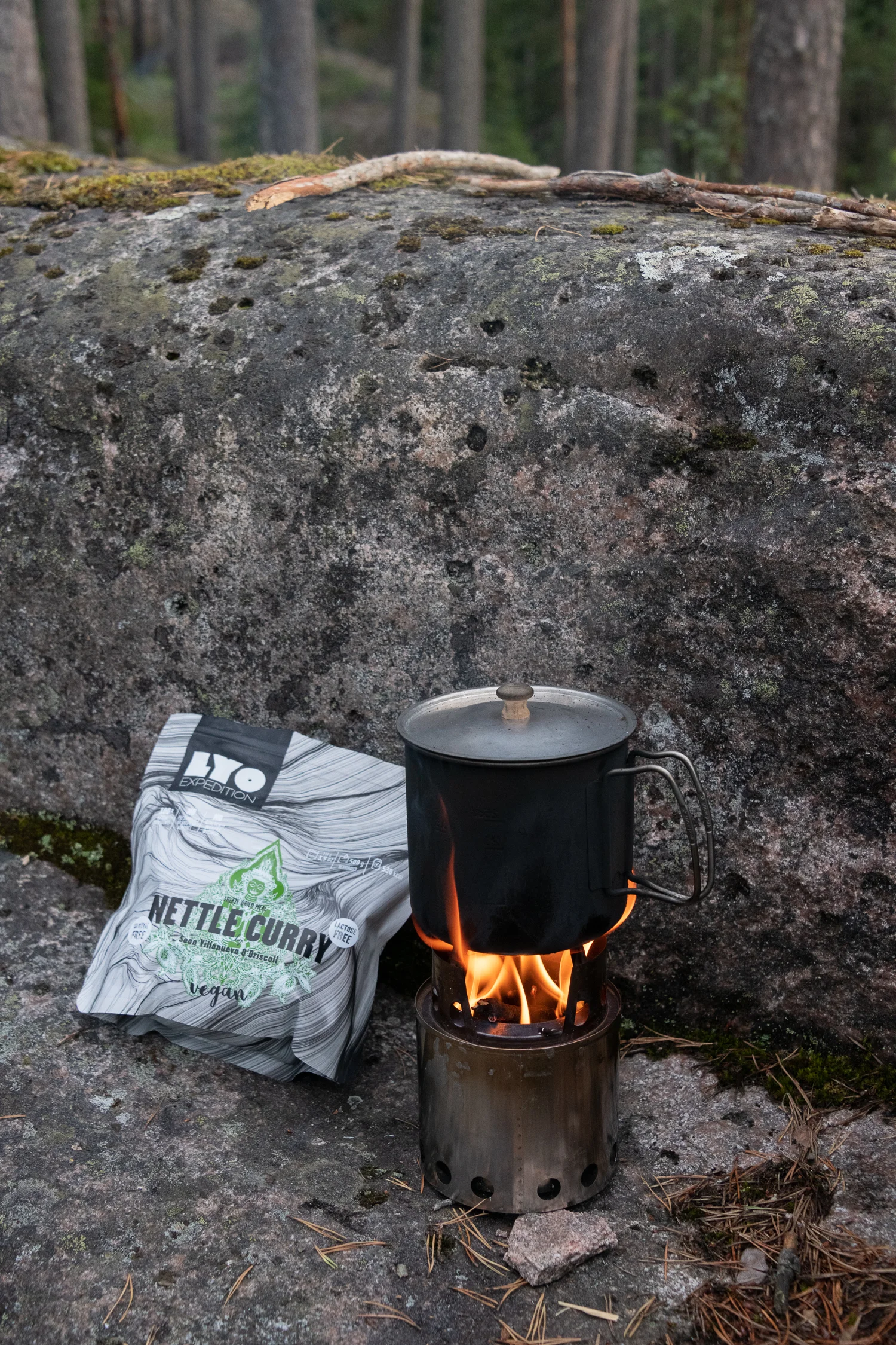 lyo-expedition-nettle-curry.jpg