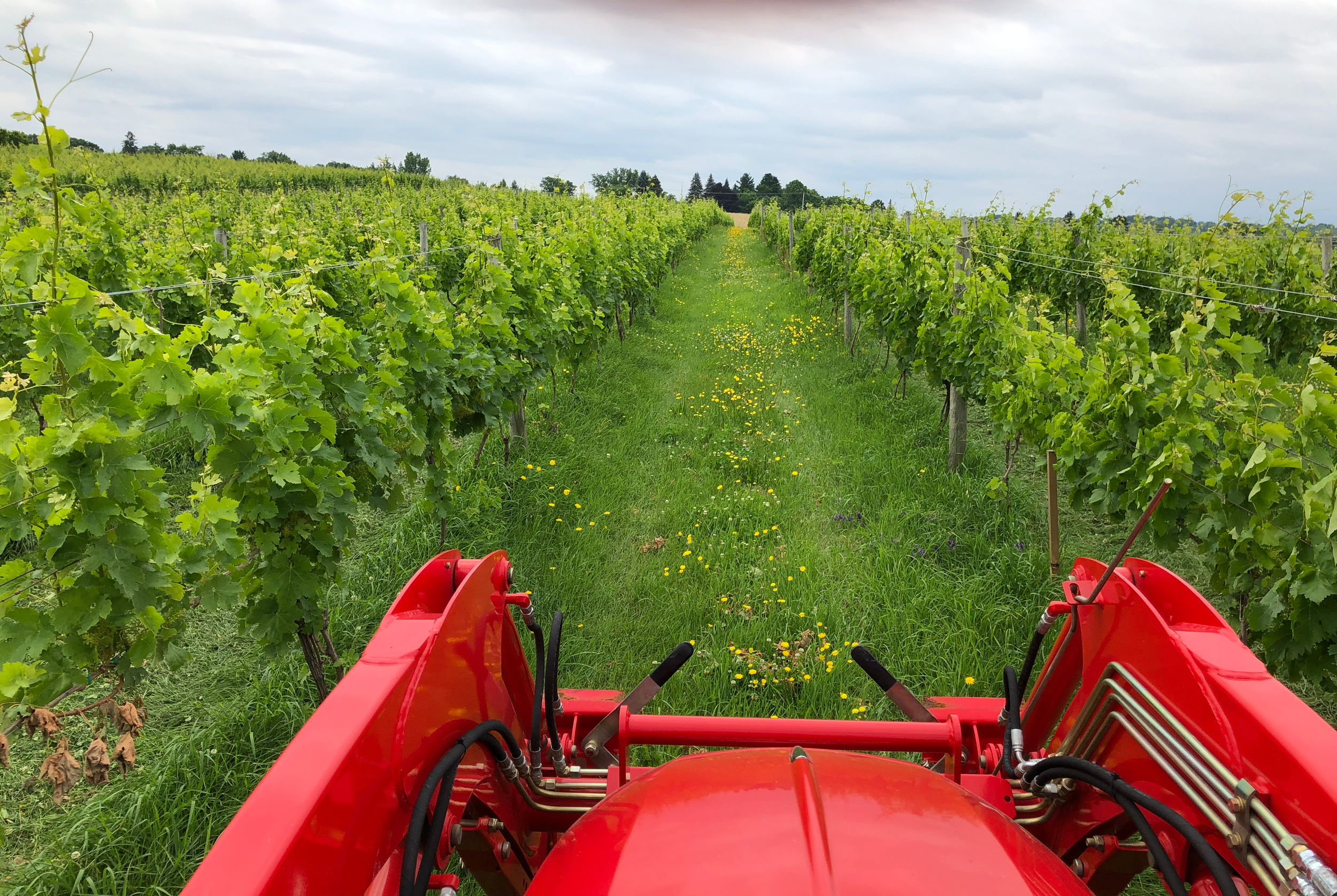 tractor shot