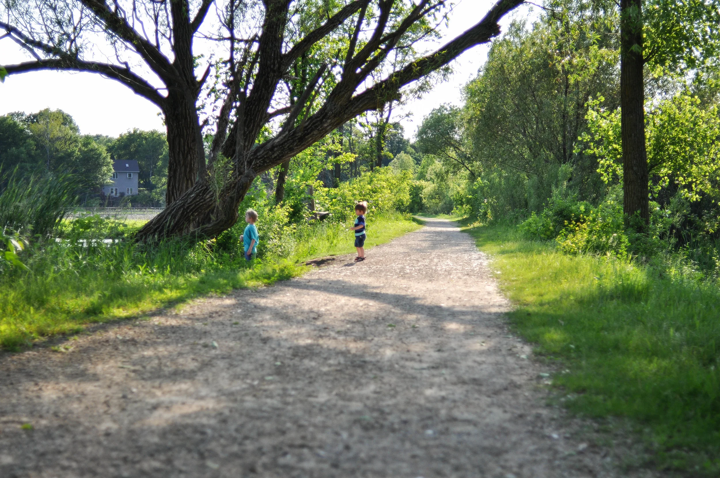 DSC_0863.jpg