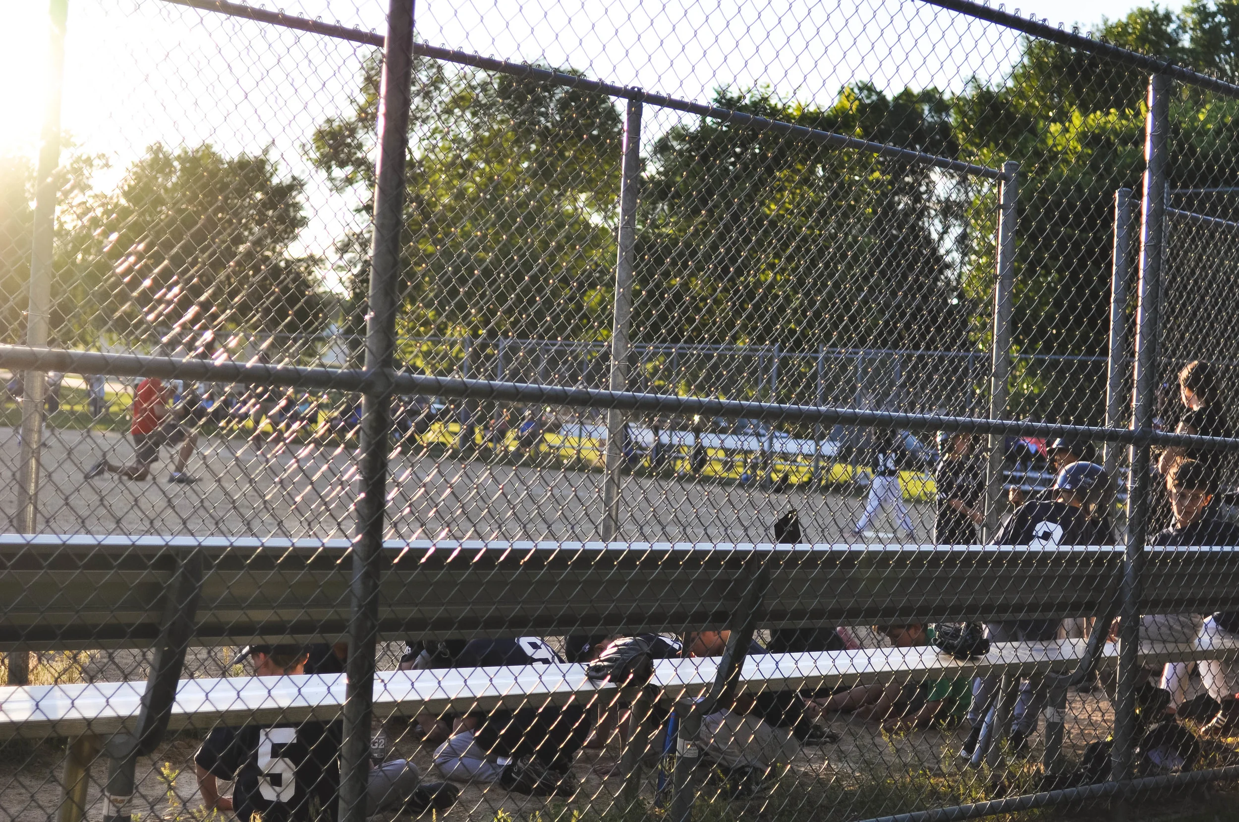 DSC_1630.jpg
