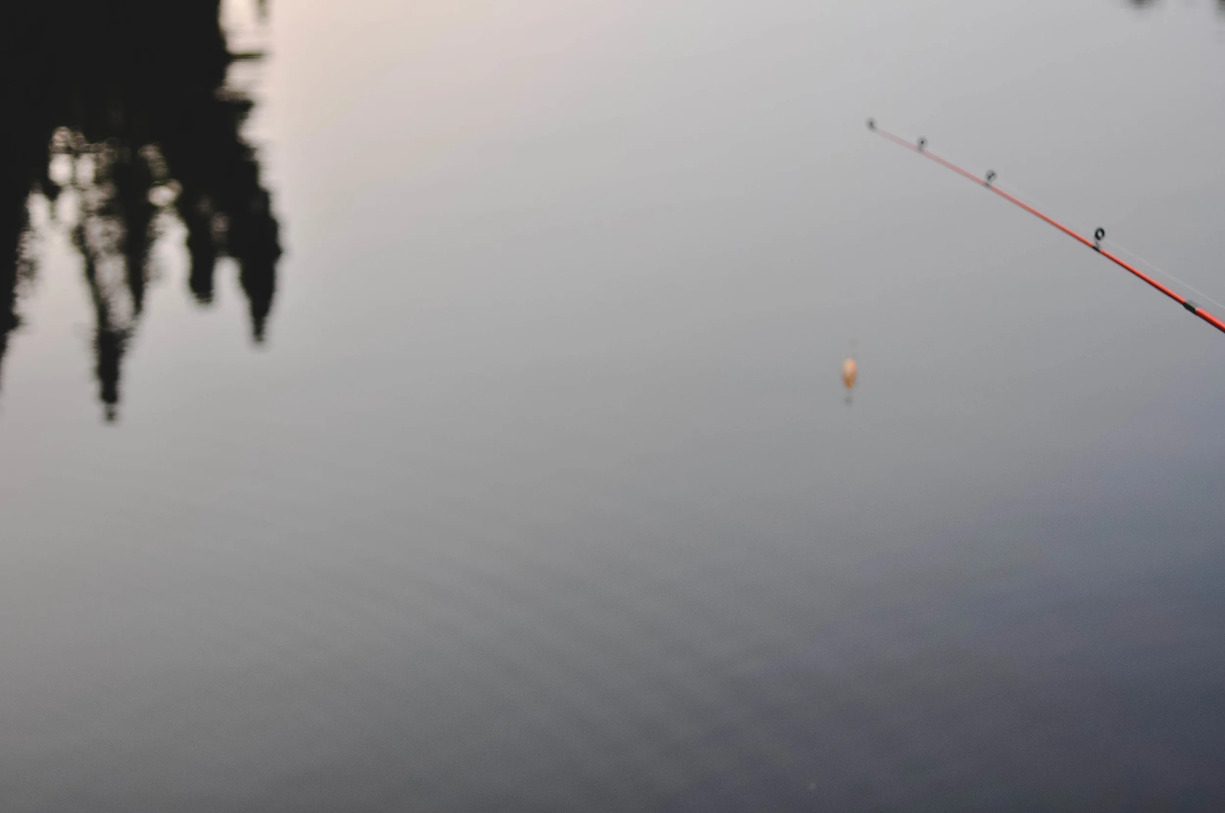 DSC_1950.jpg