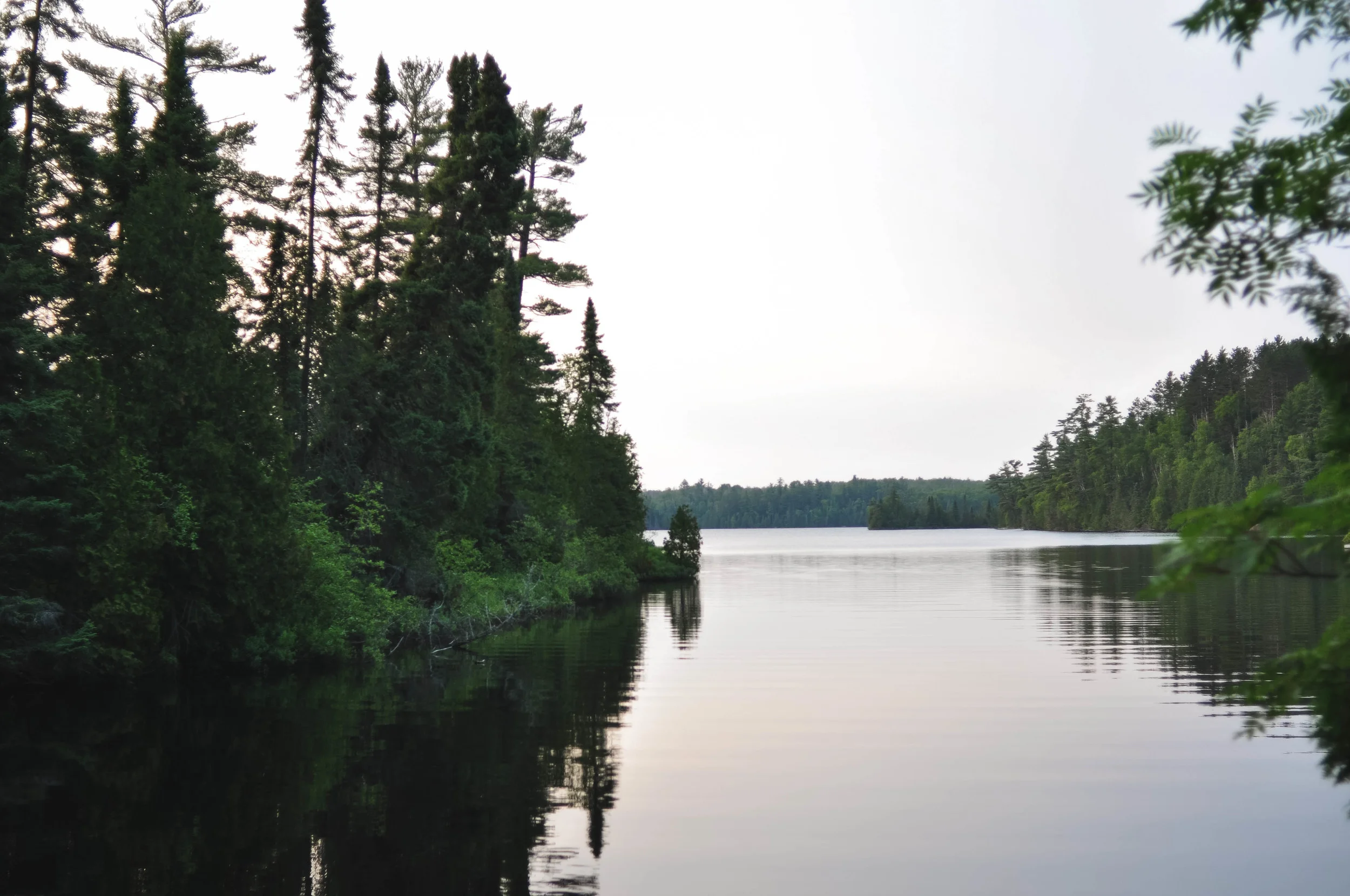 DSC_1964.jpg