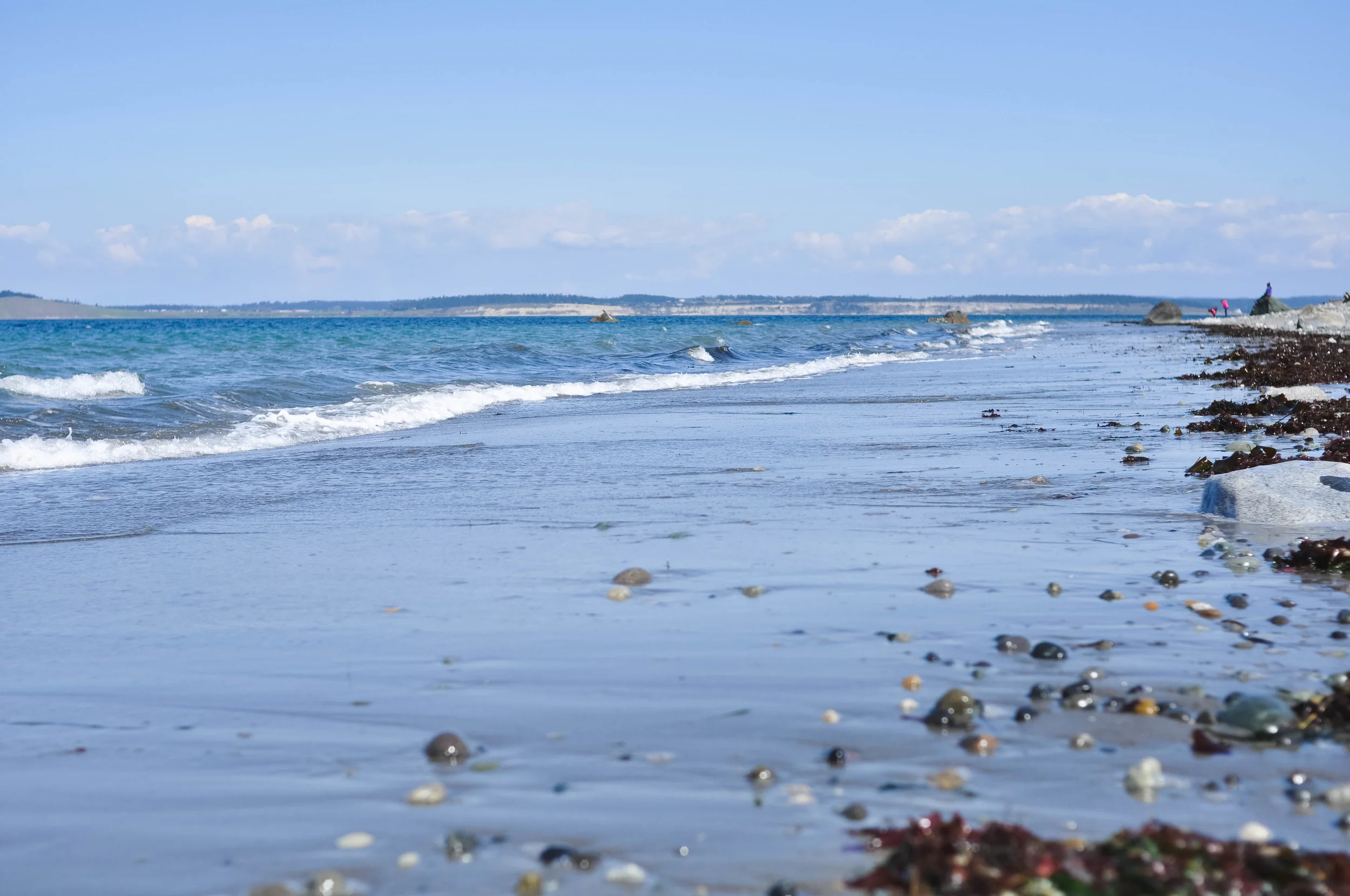DSC_0961.jpg