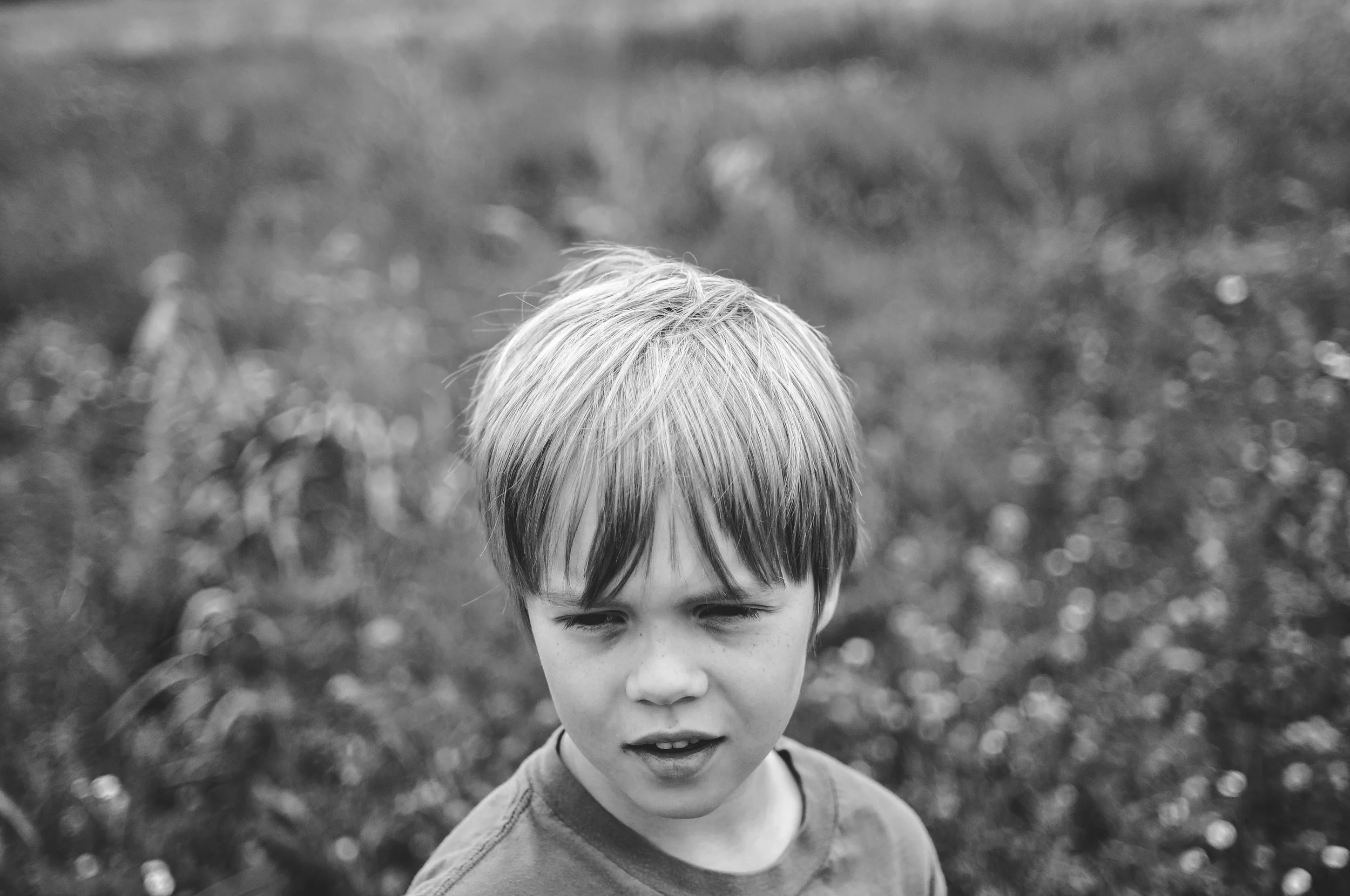DSC_0985.jpg