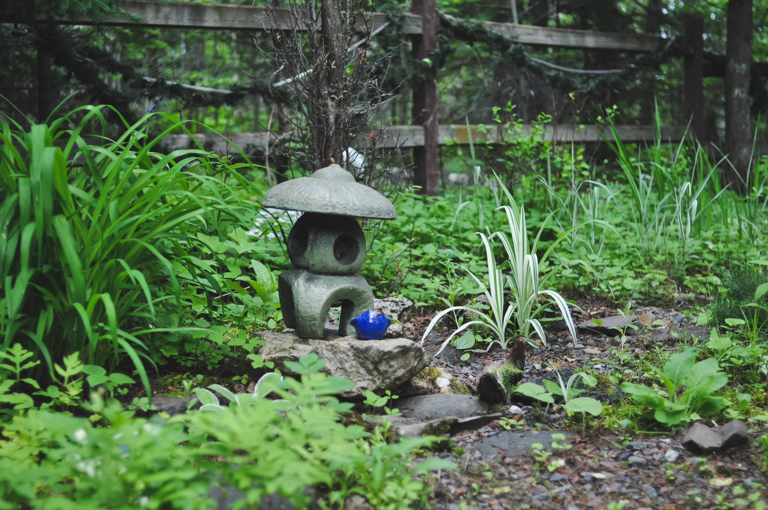 DSC_1527.jpg