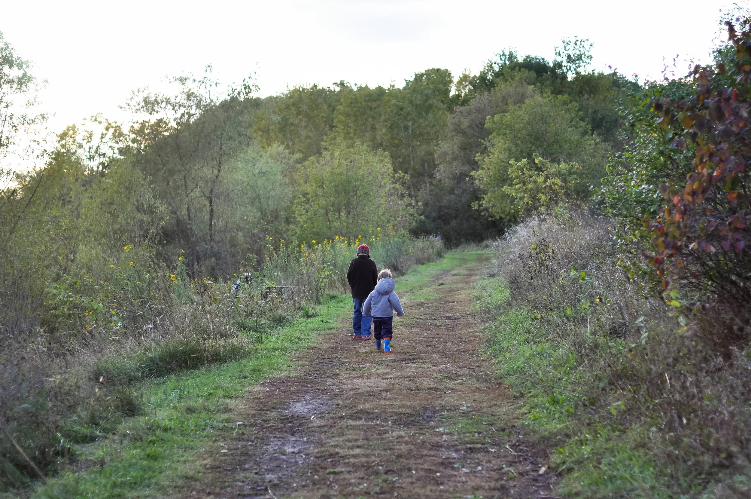 DSC_1453.jpg