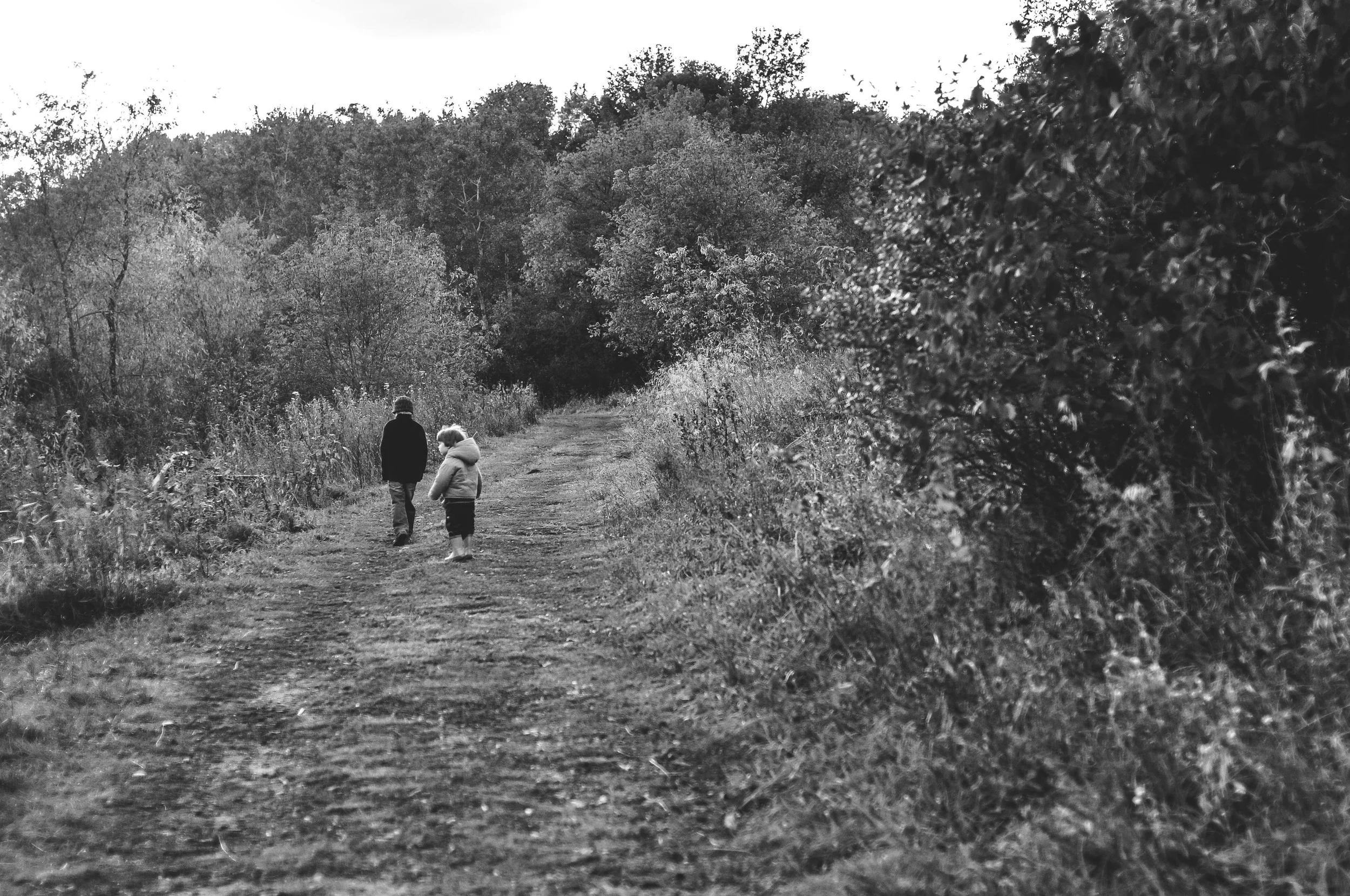 DSC_1454.jpg