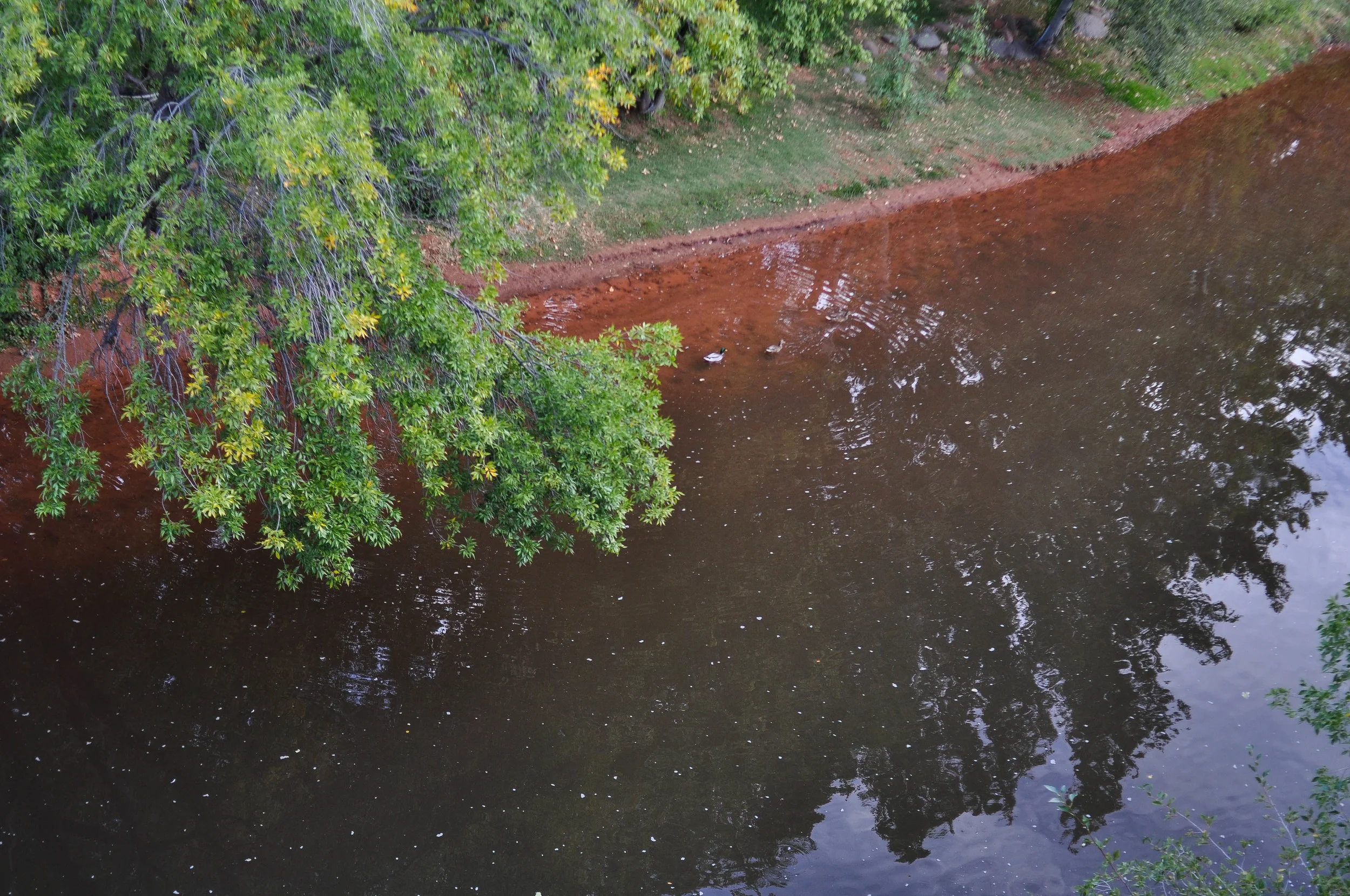 DSC_2256.jpg