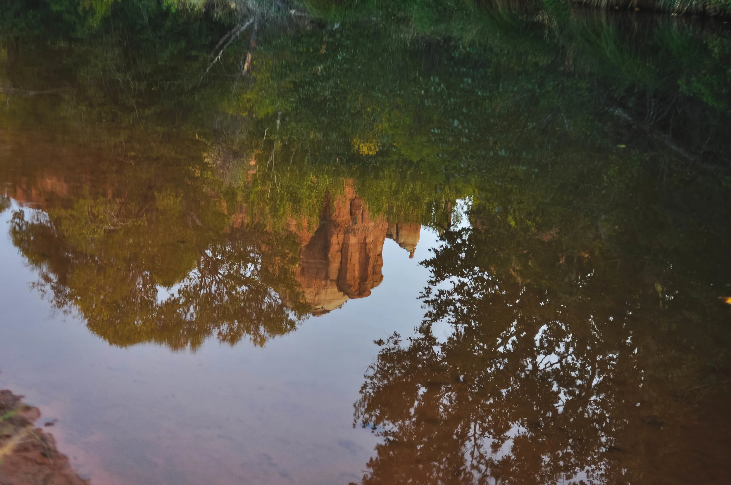 DSC_2081.jpg