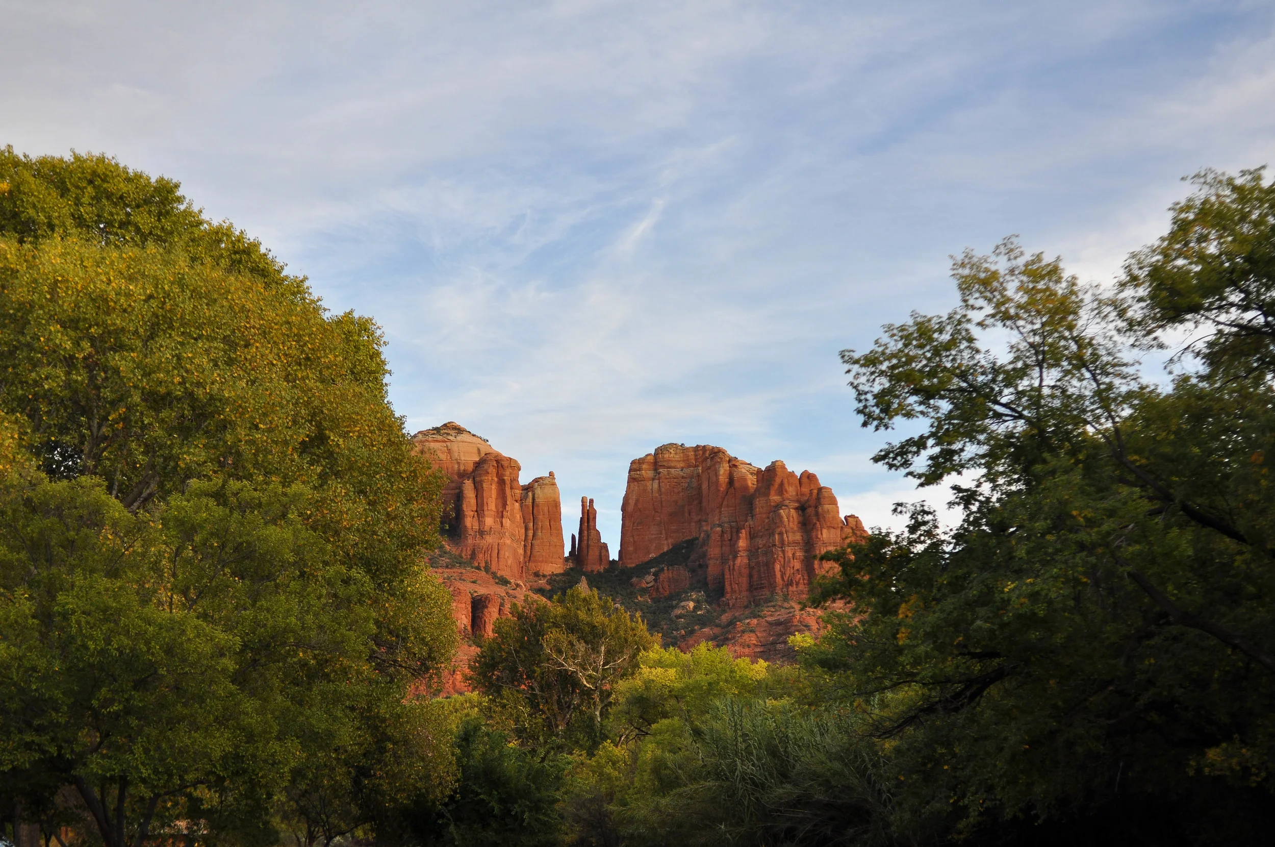 DSC_2087.jpg
