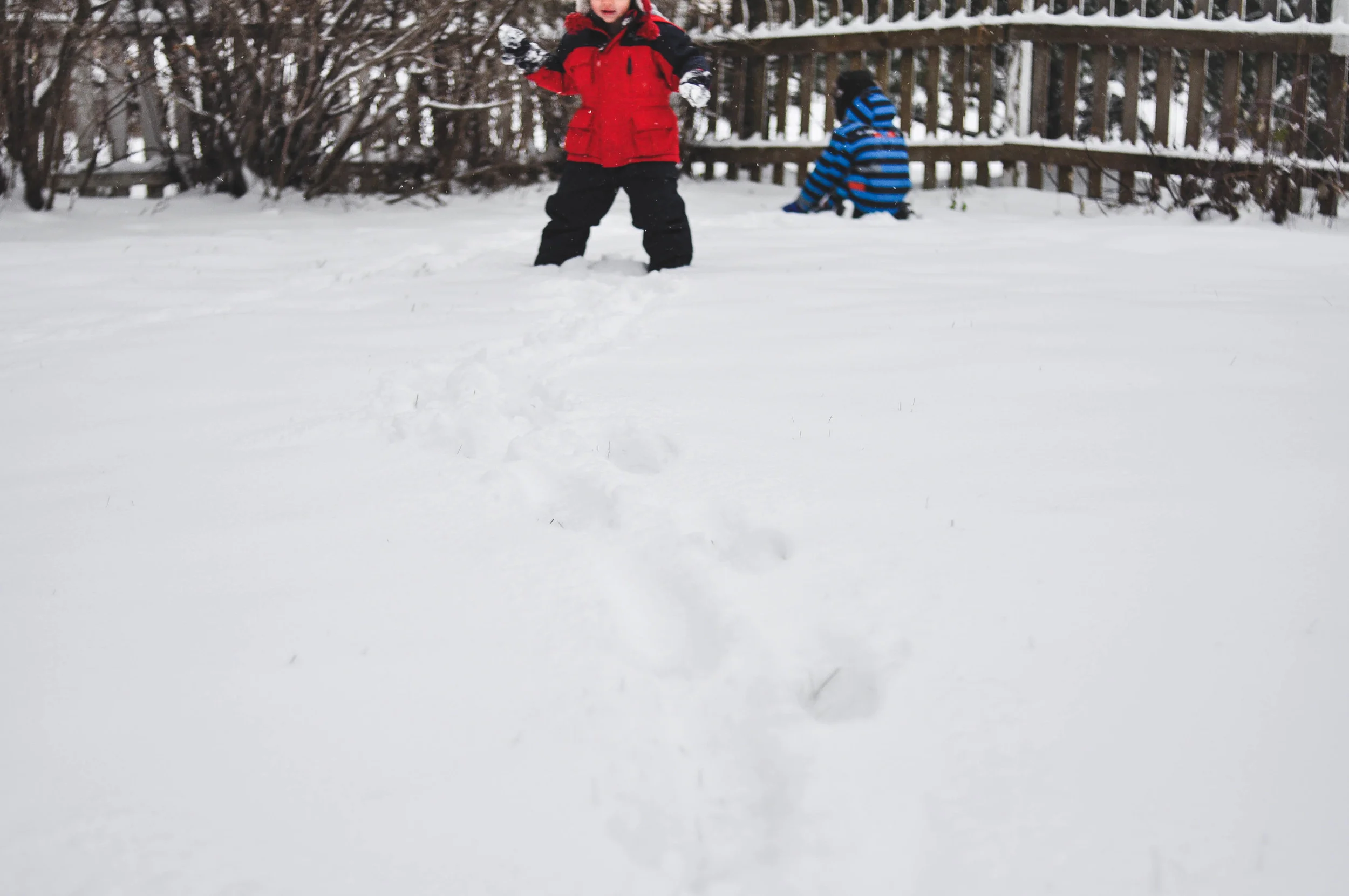 DSC_2836.jpg
