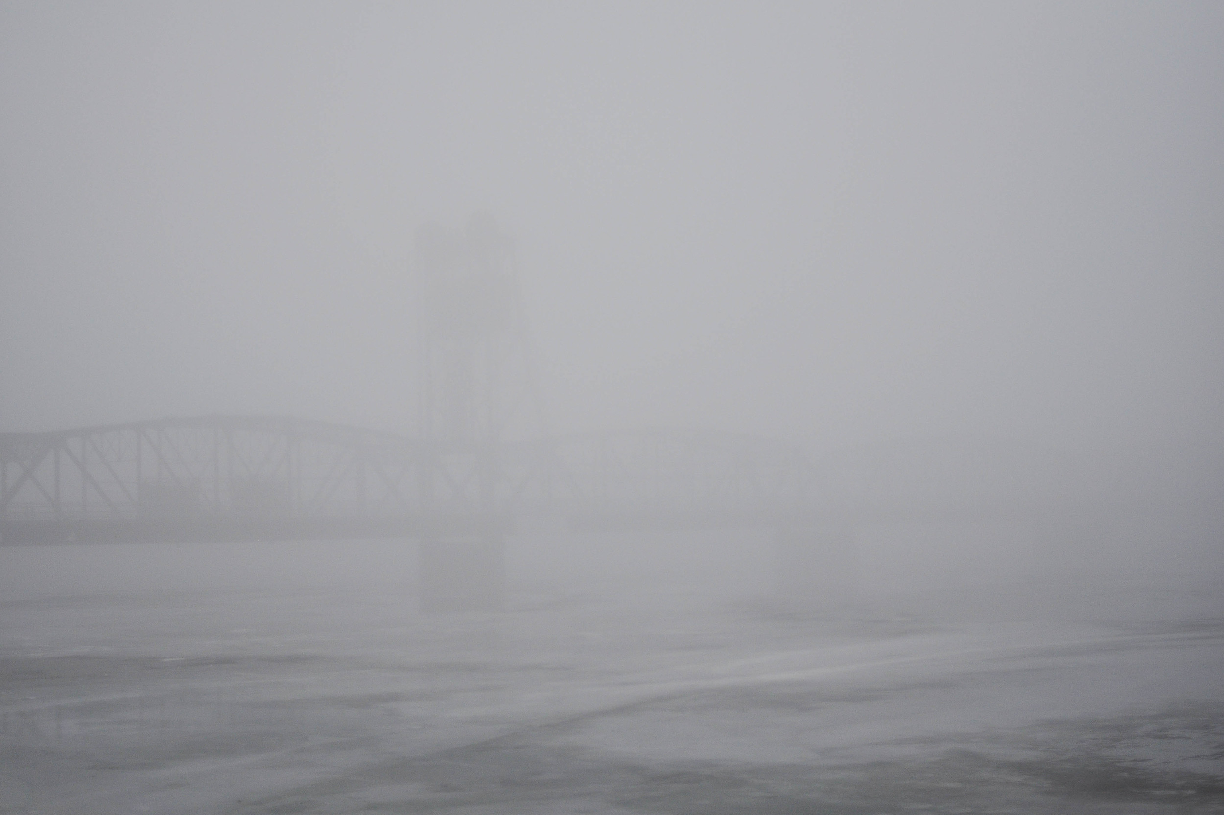 DSC_0382.jpg