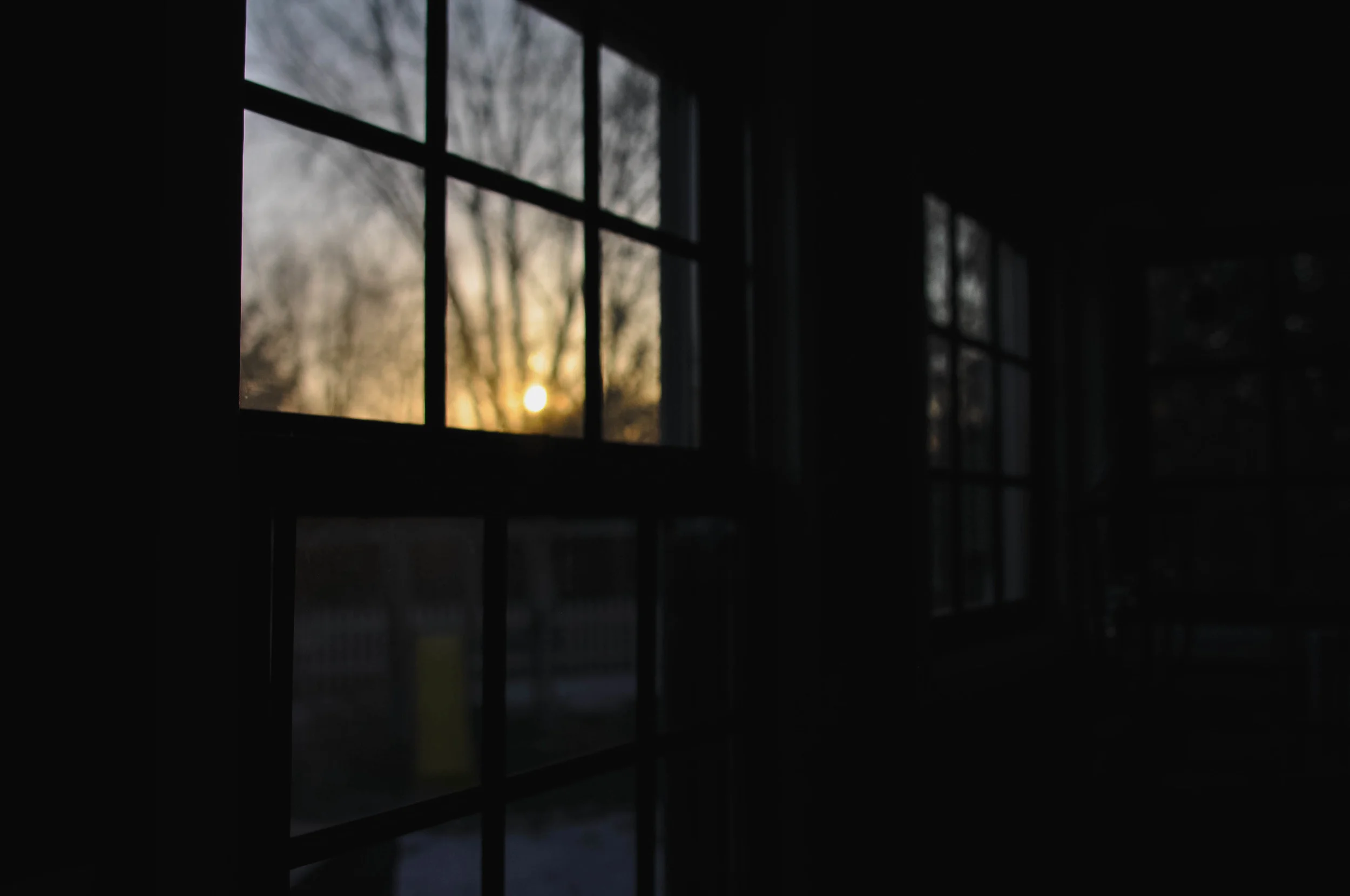 DSC_0919.jpg