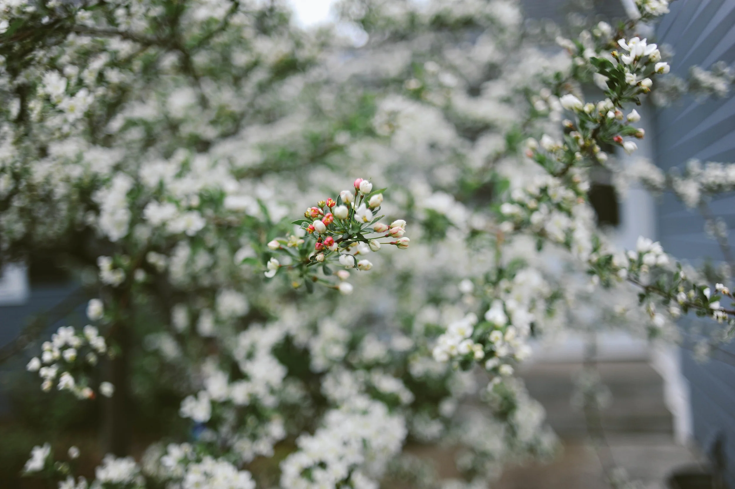 DSC_7962.jpg