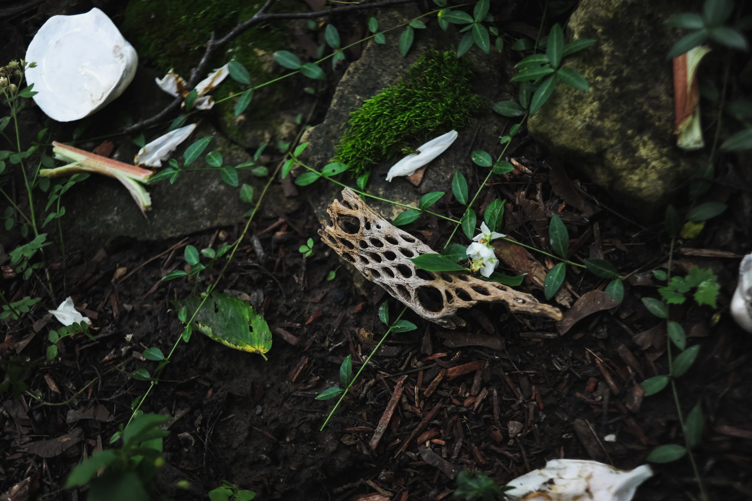 DSC_8885.jpg