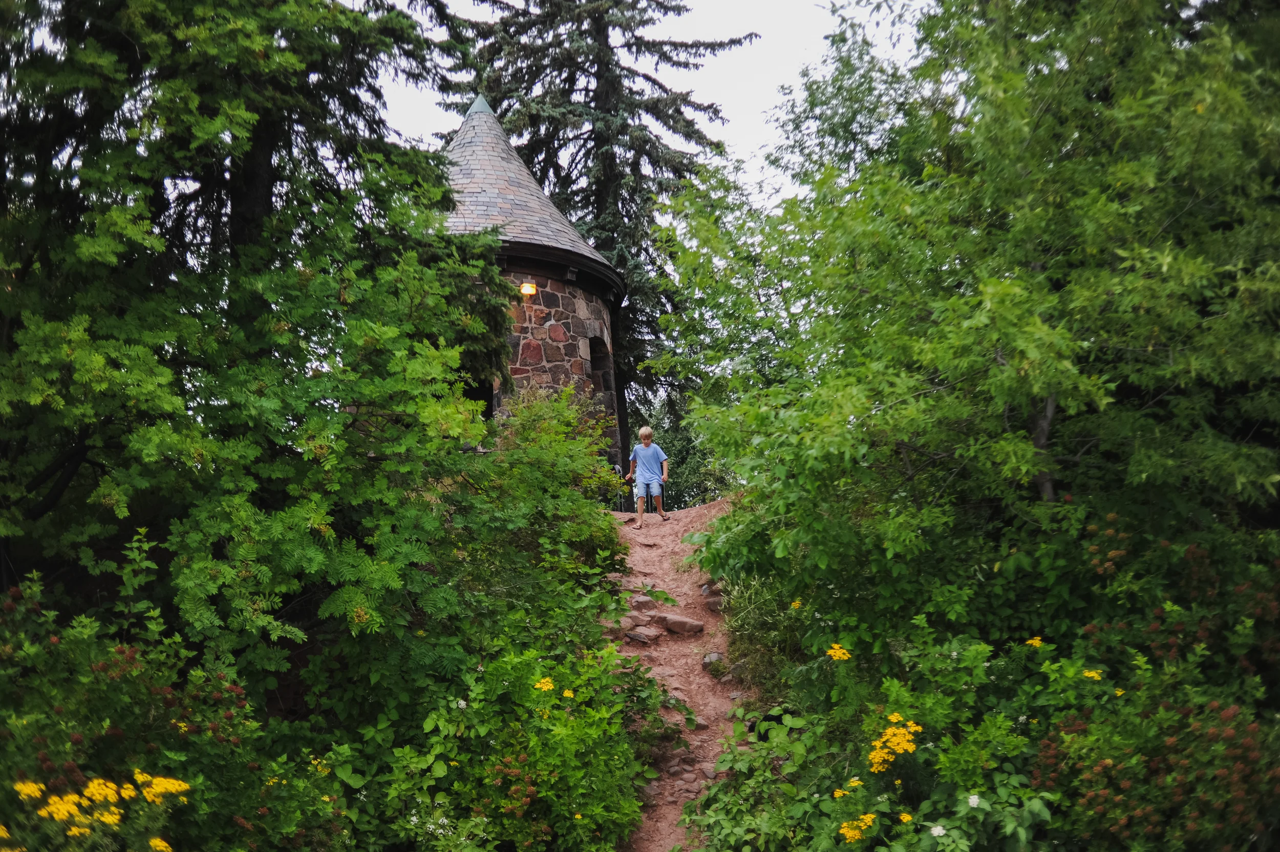 DSC_0133.jpg